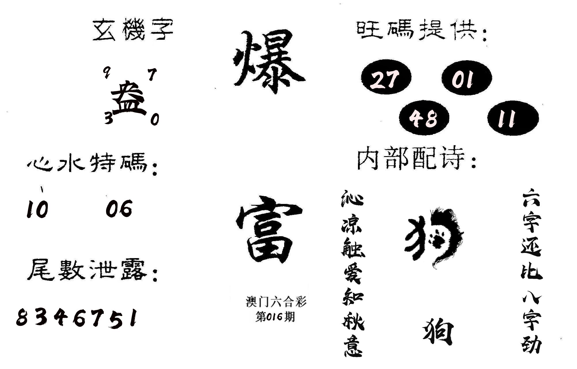 爆富 第16期