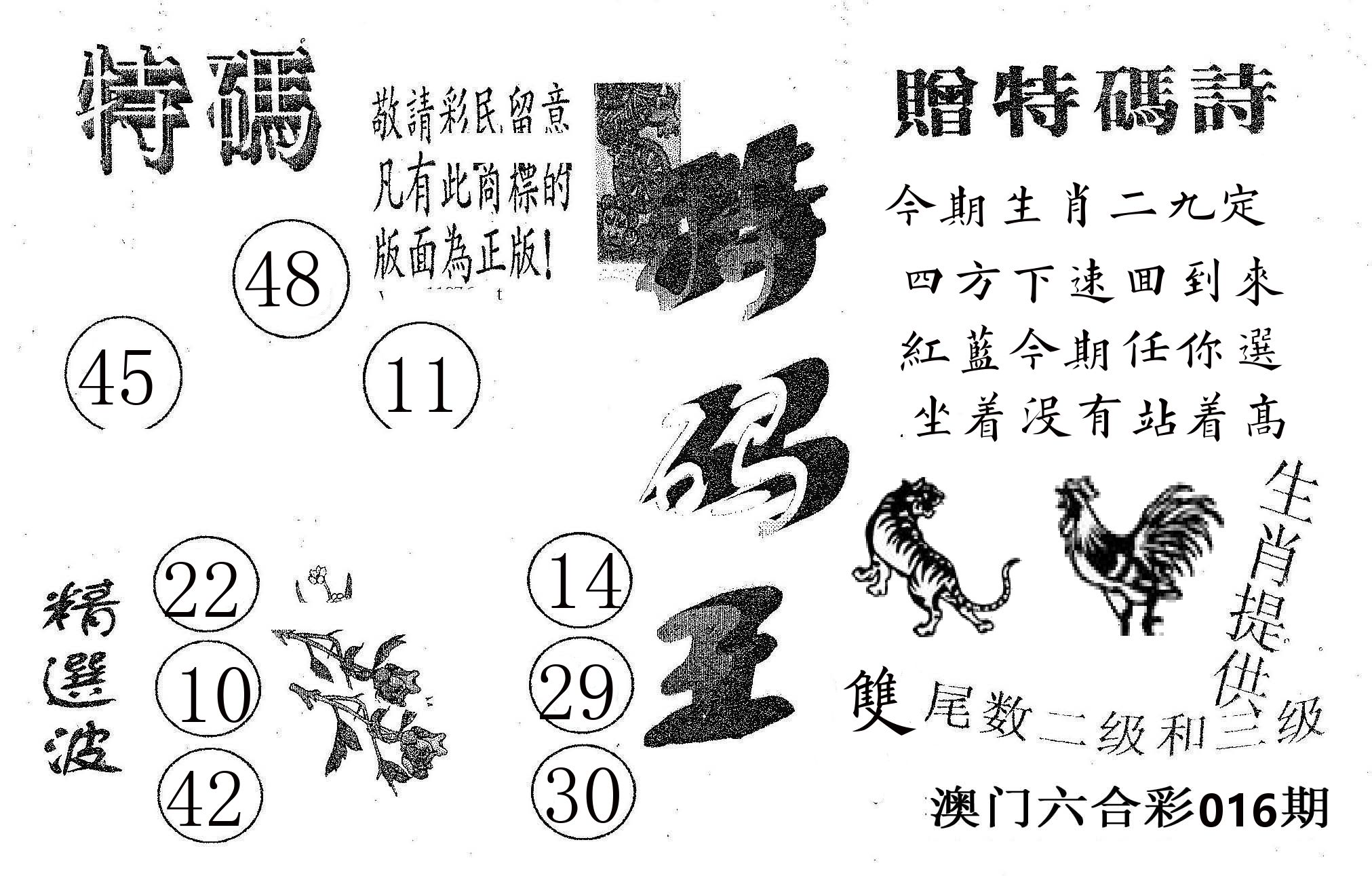 特码王A 第16期