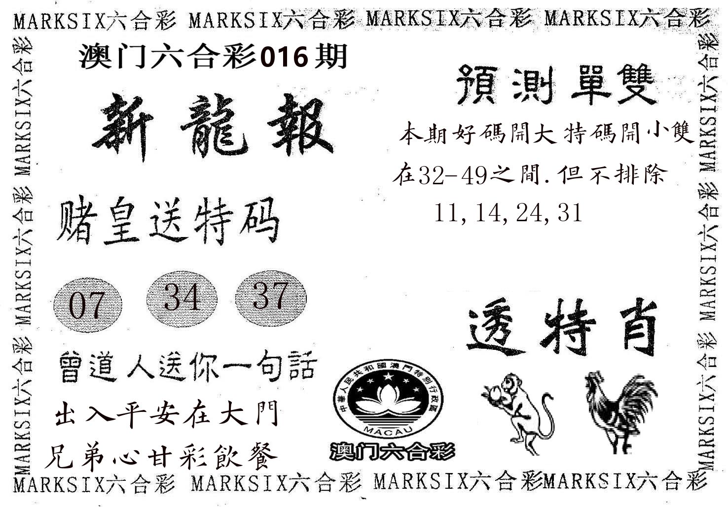 新龙报 第16期