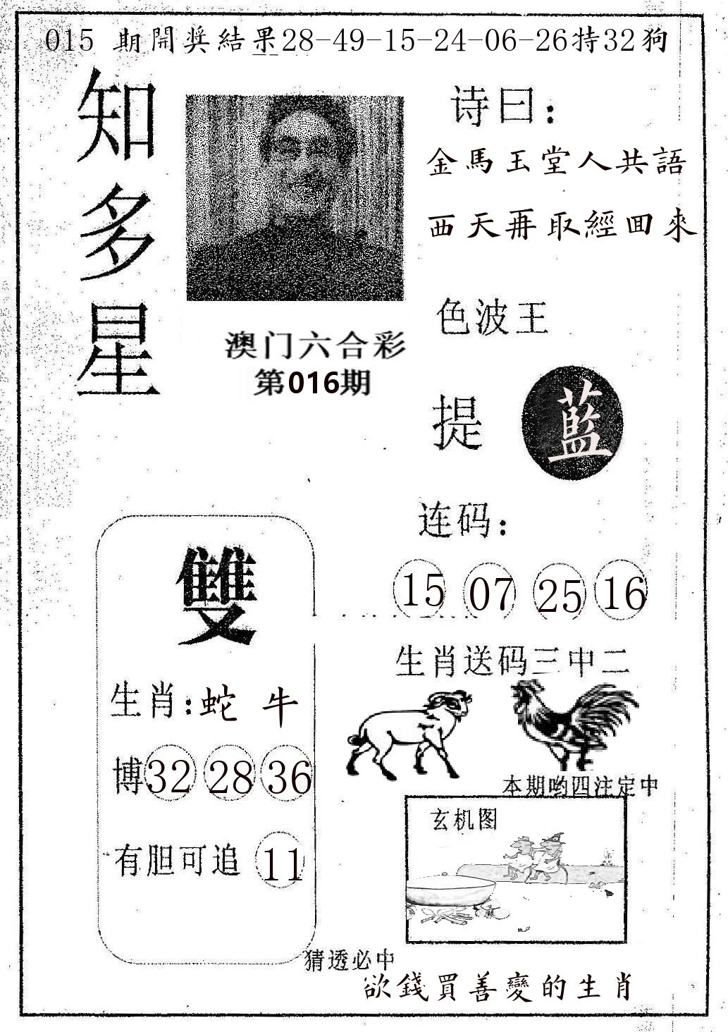 知多星 第16期