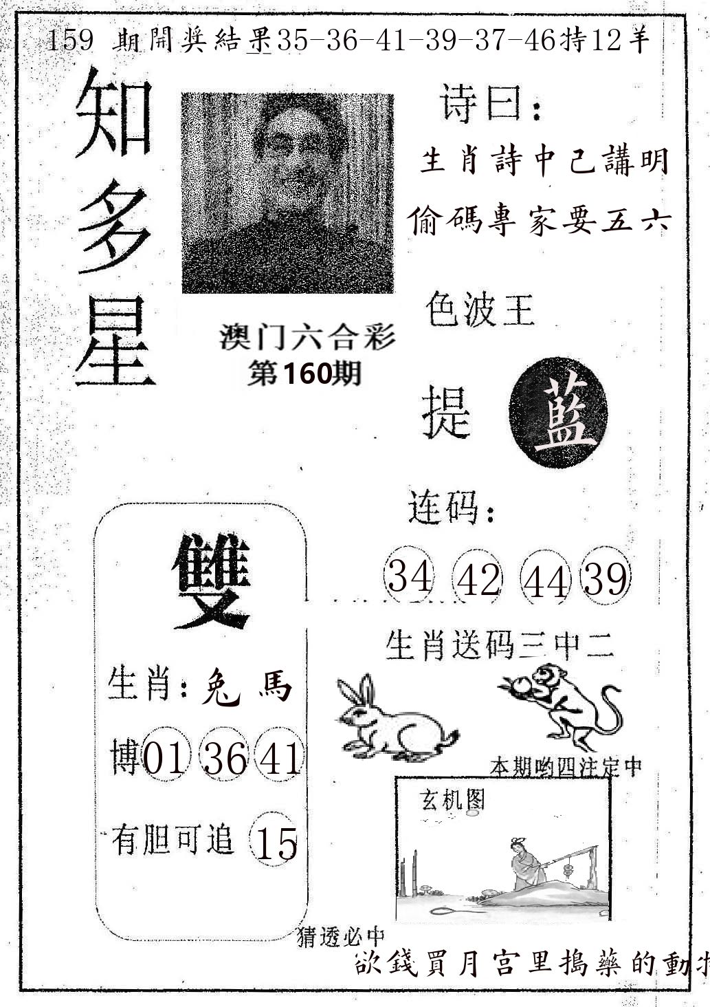 知多星 第160期