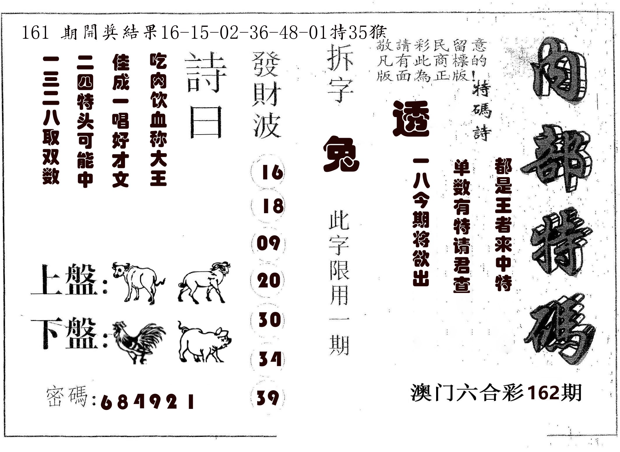 内部特码 第162期