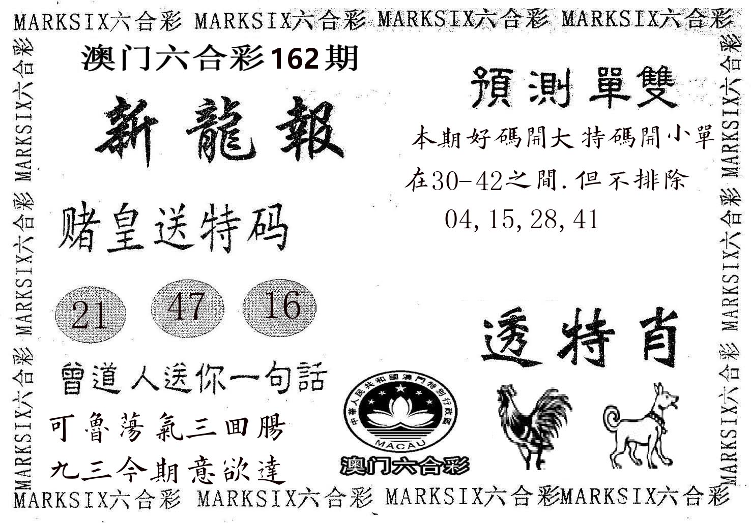 新龙报 第162期