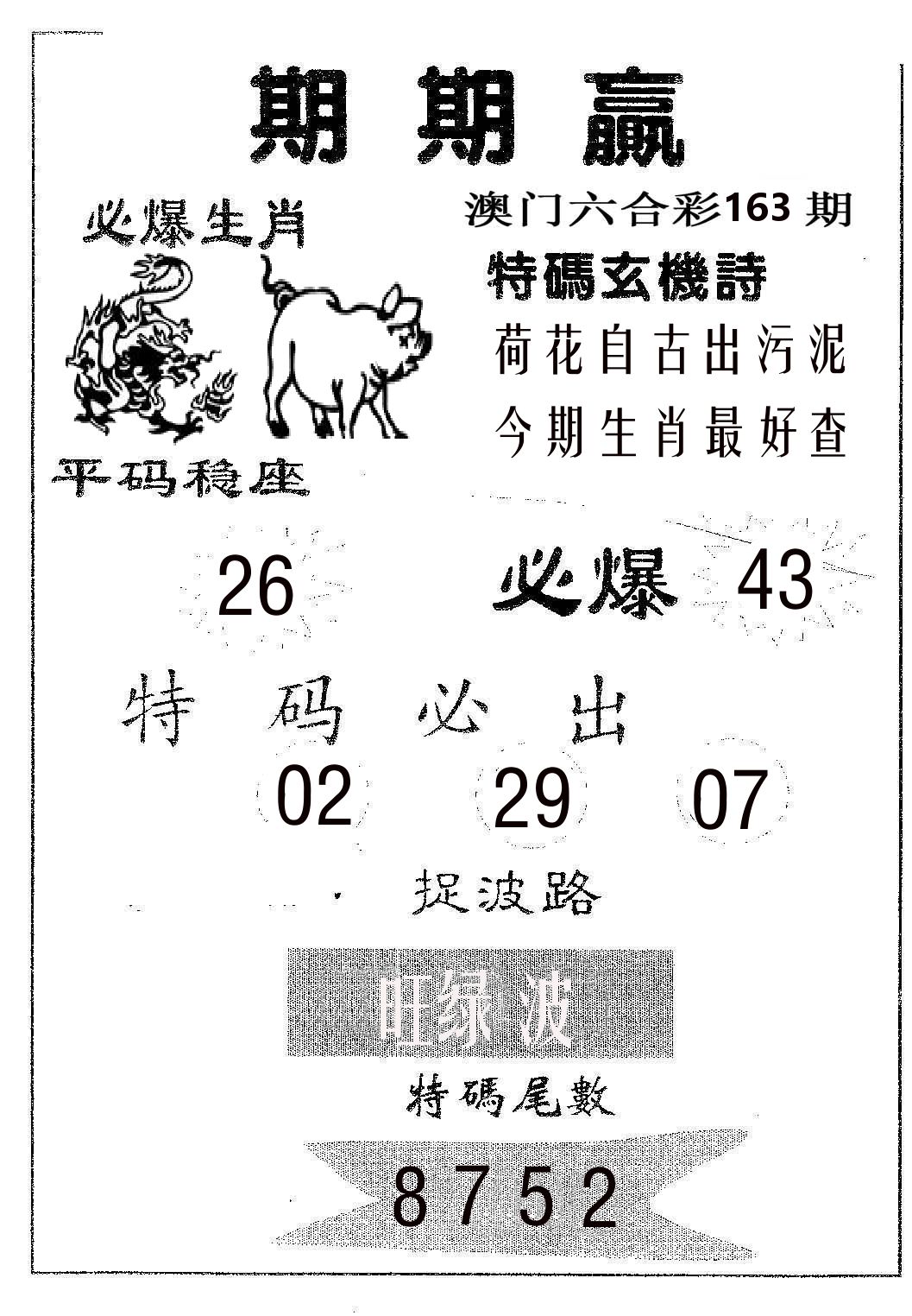 期期赢 第163期