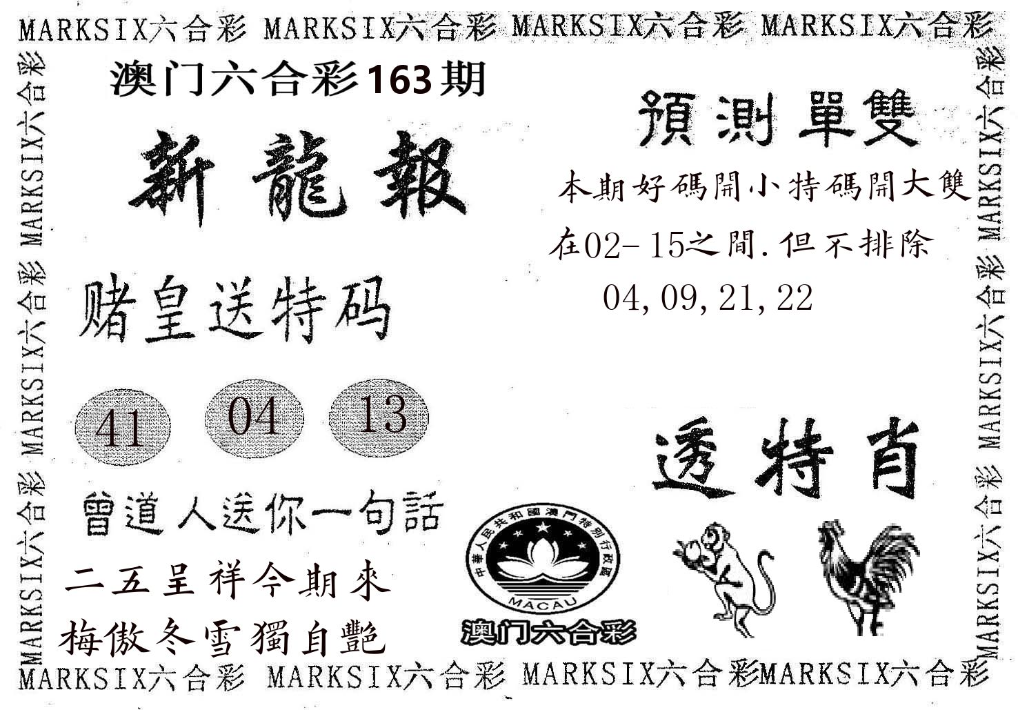 新龙报 第163期