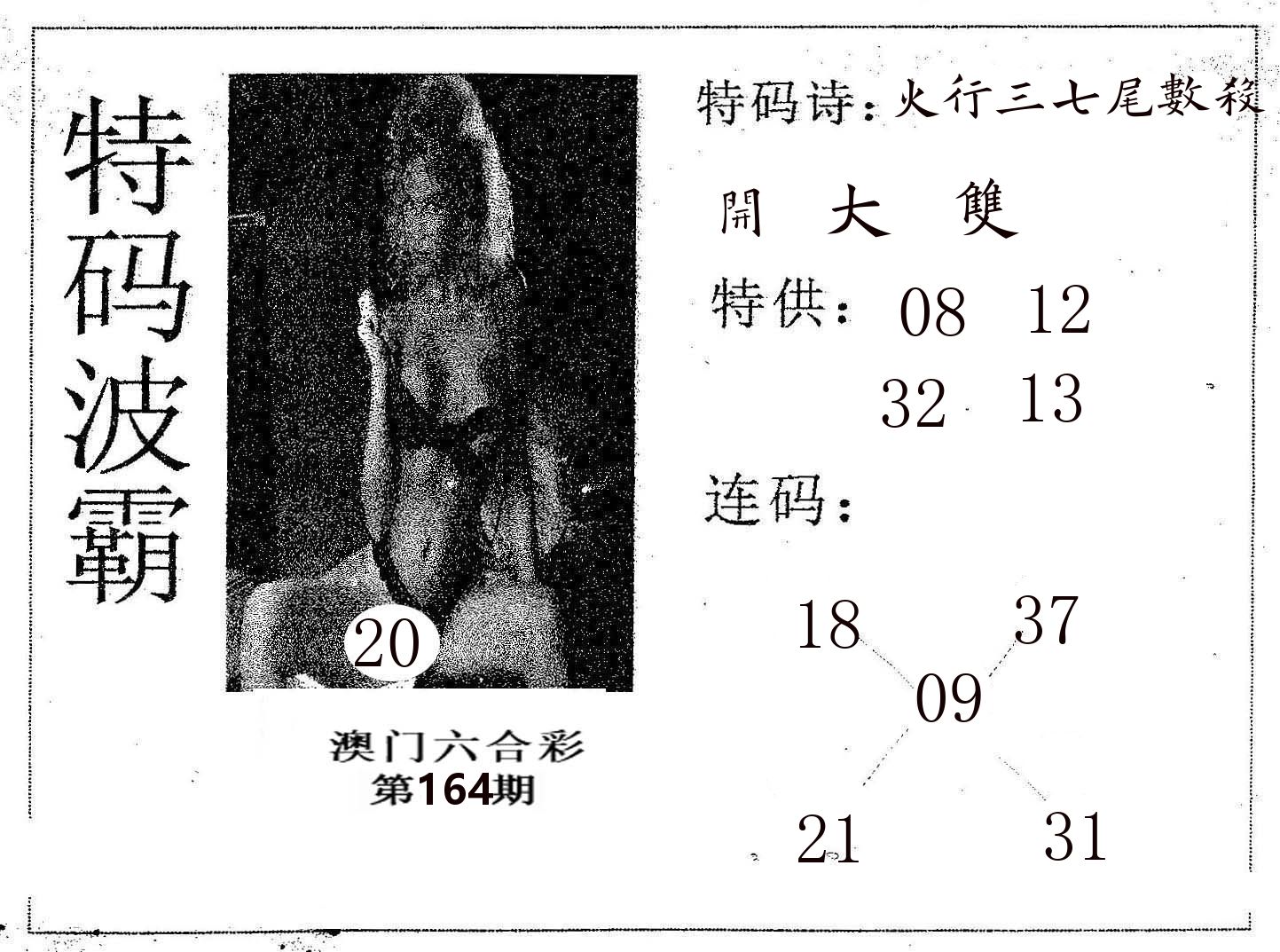 特码波霸 第164期