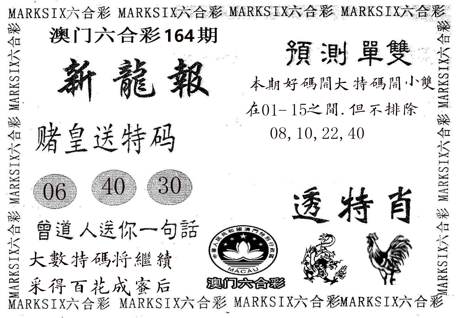 新龙报 第164期
