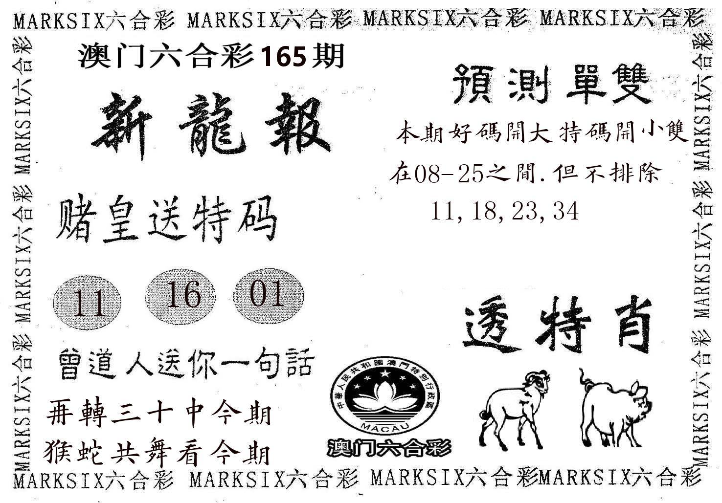 新龙报 第165期