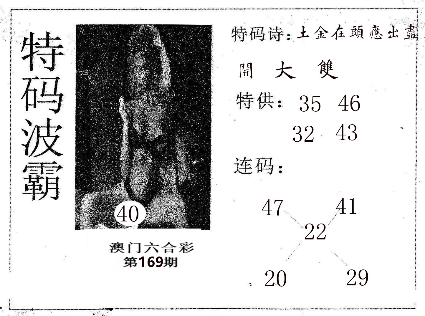特码波霸 第169期
