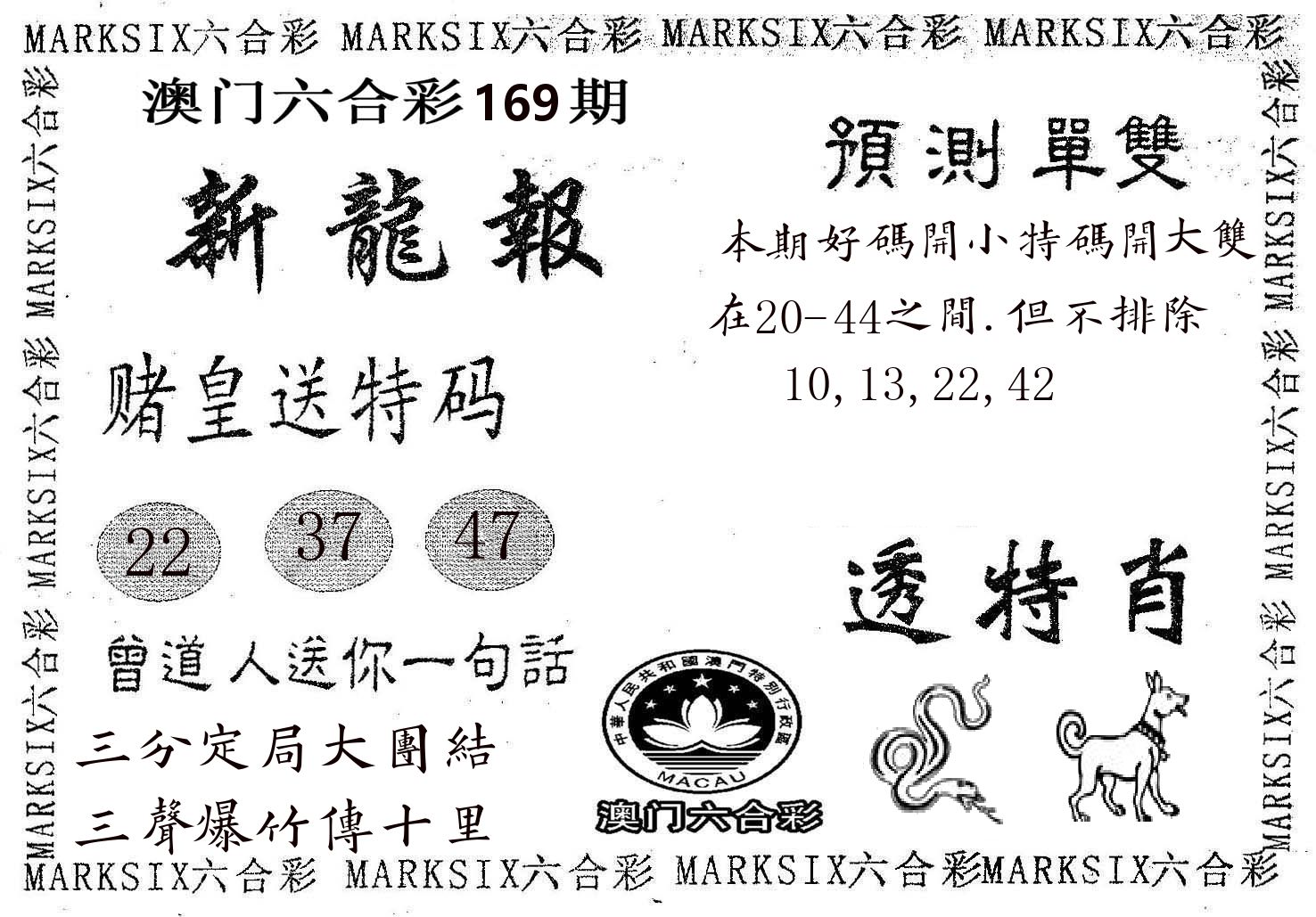 新龙报 第169期
