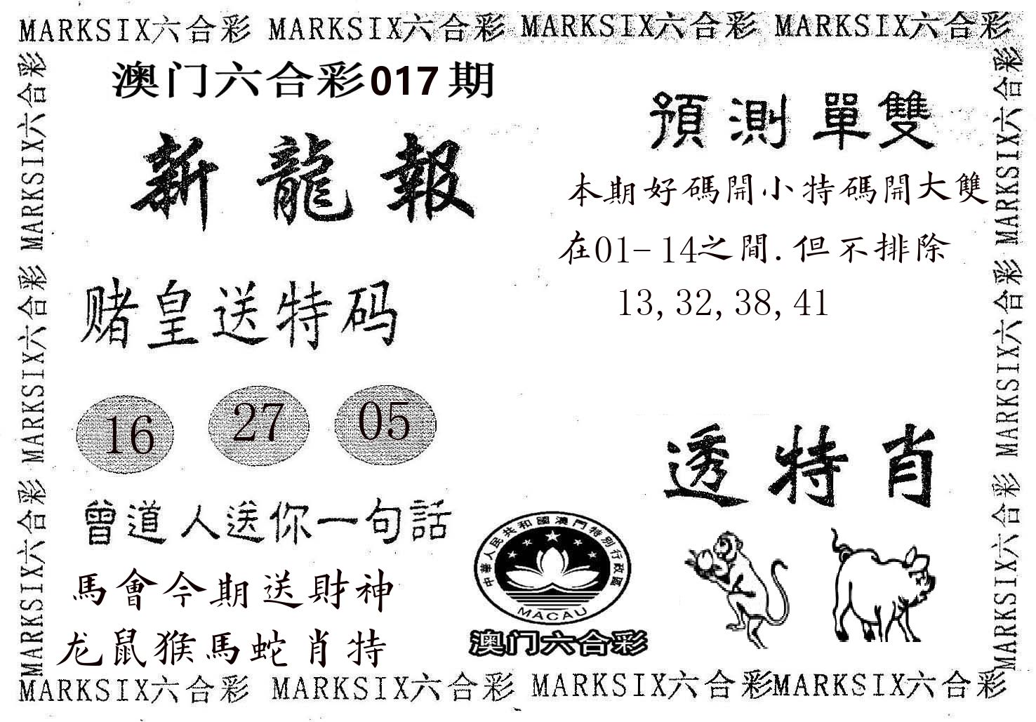 新龙报 第17期