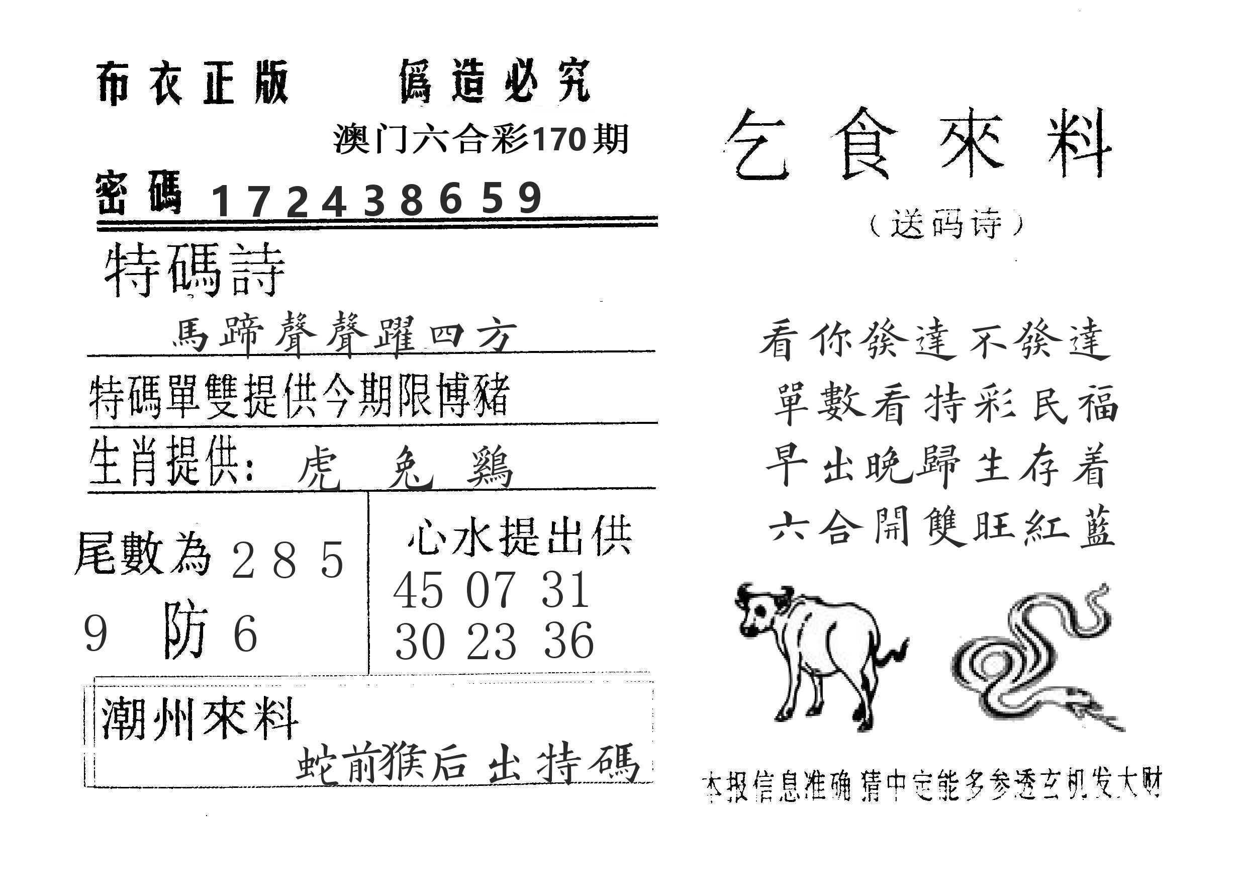 乞食来料 第170期