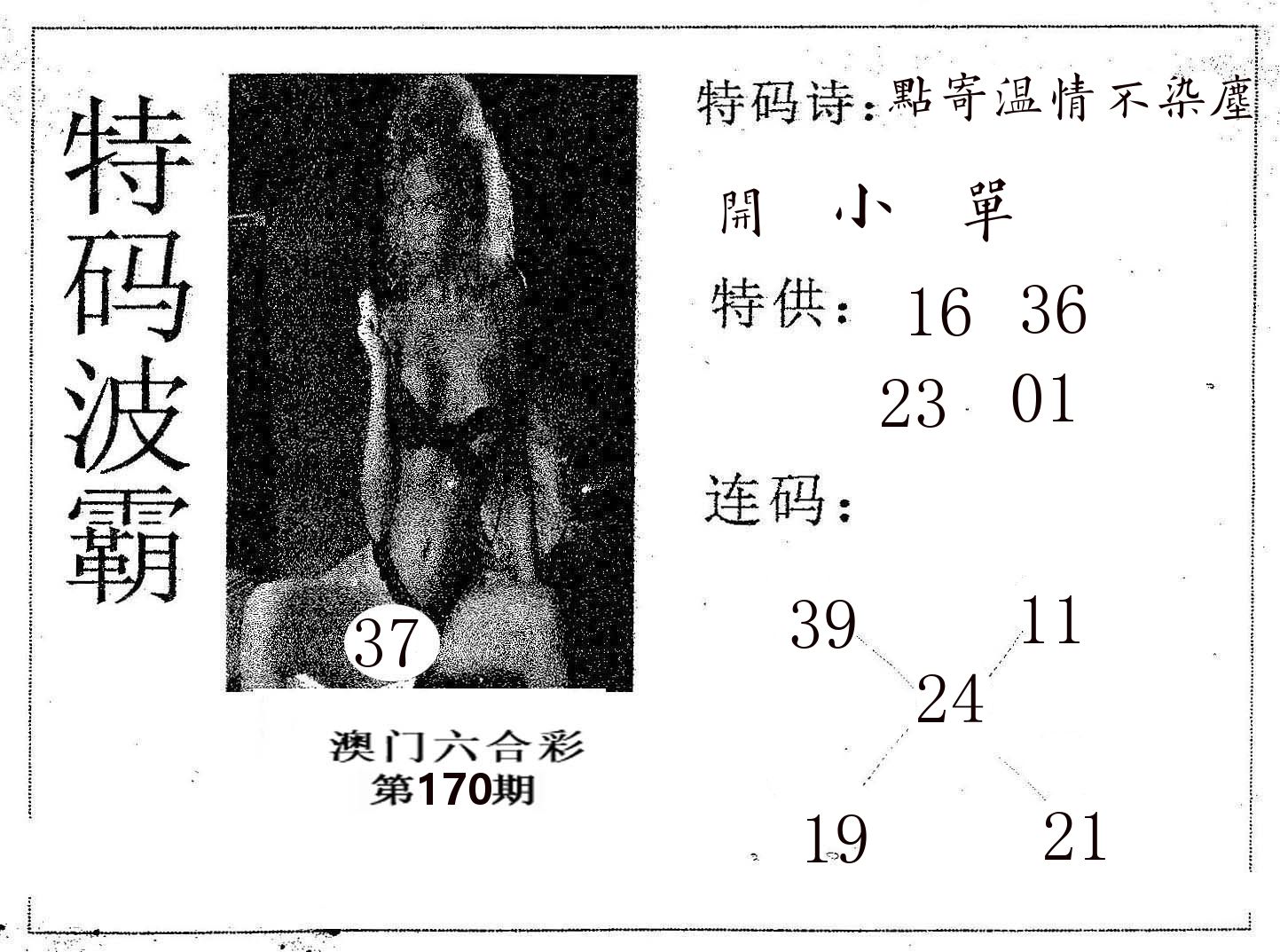 特码波霸 第170期