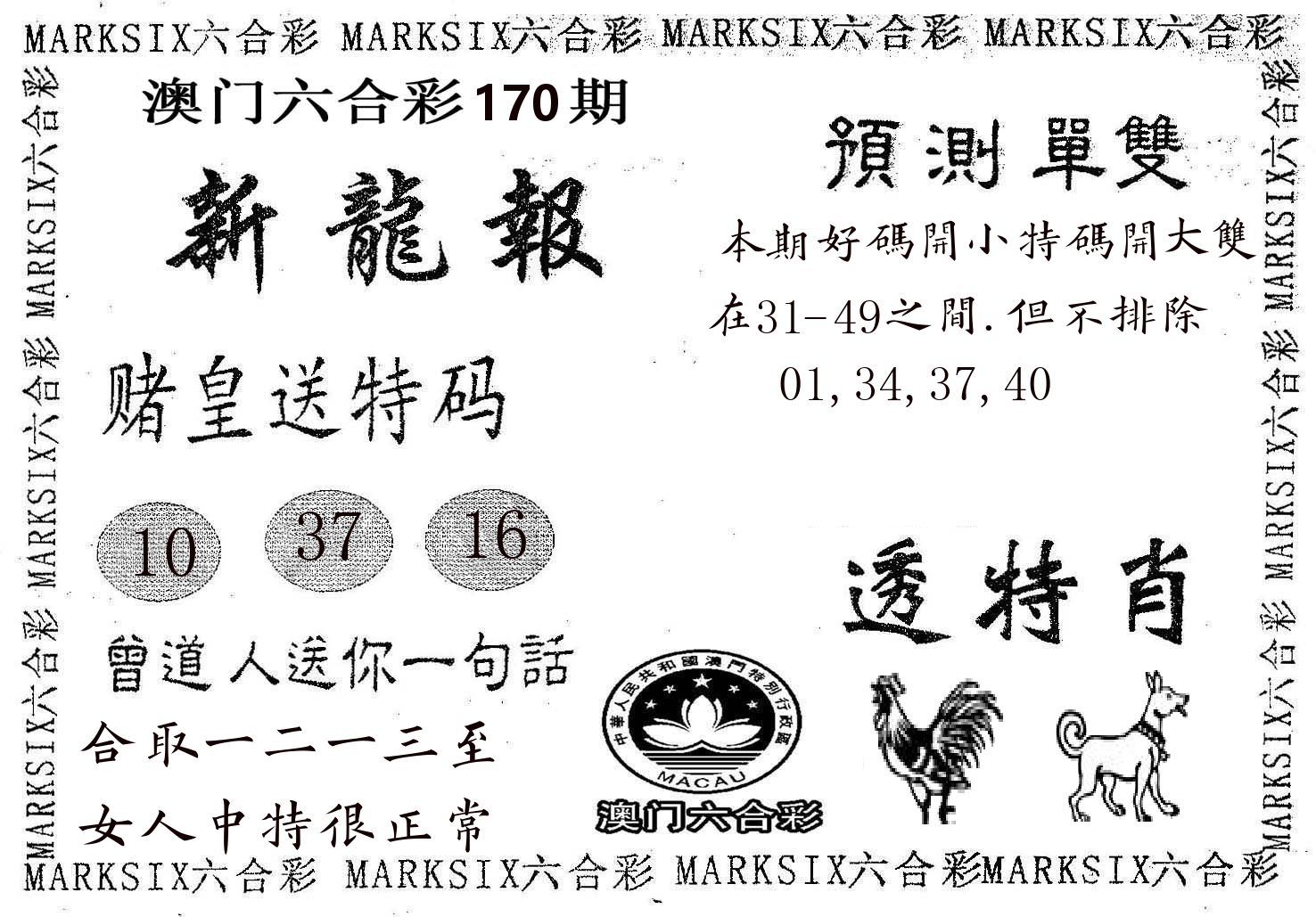 新龙报 第170期