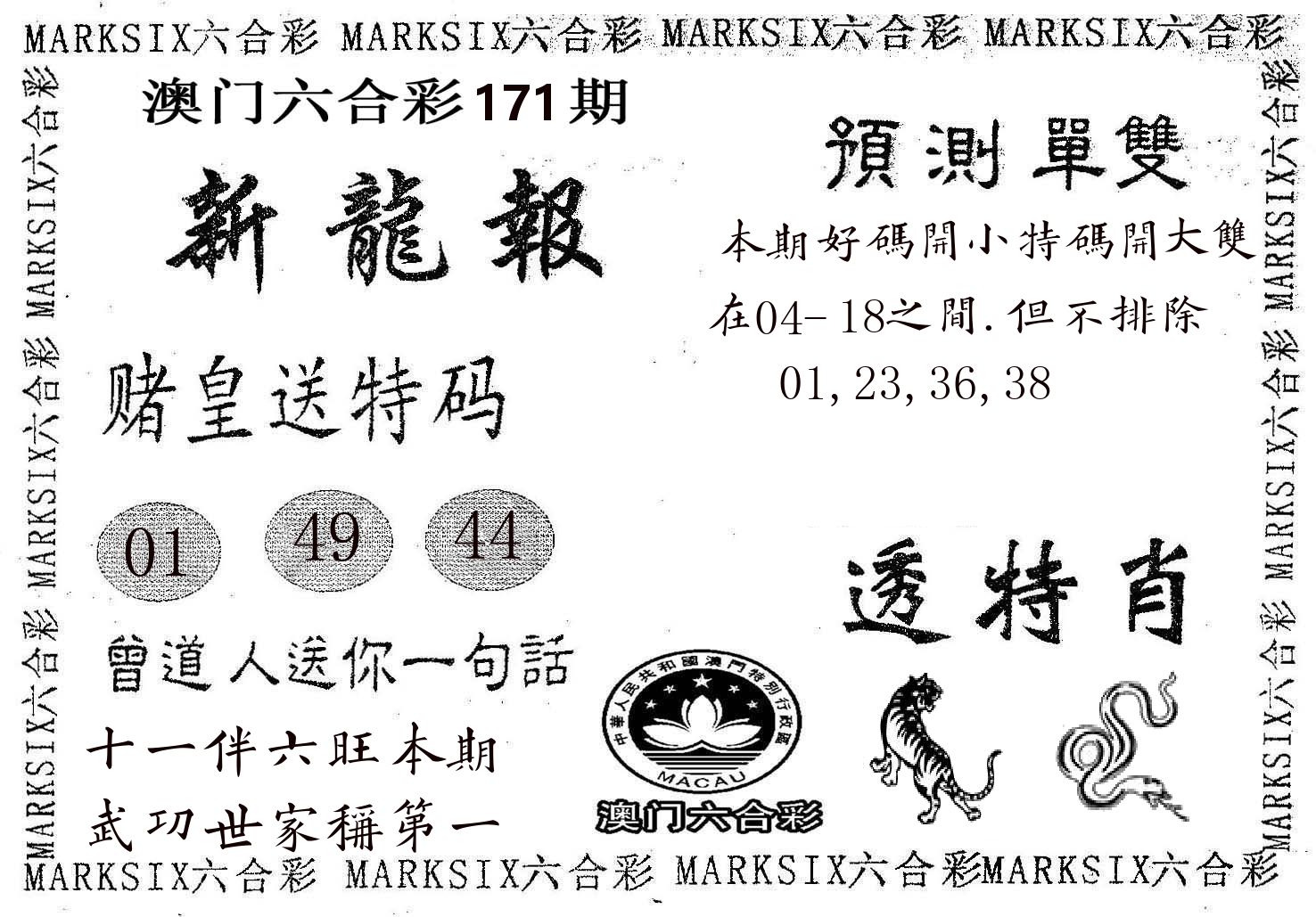新龙报 第171期