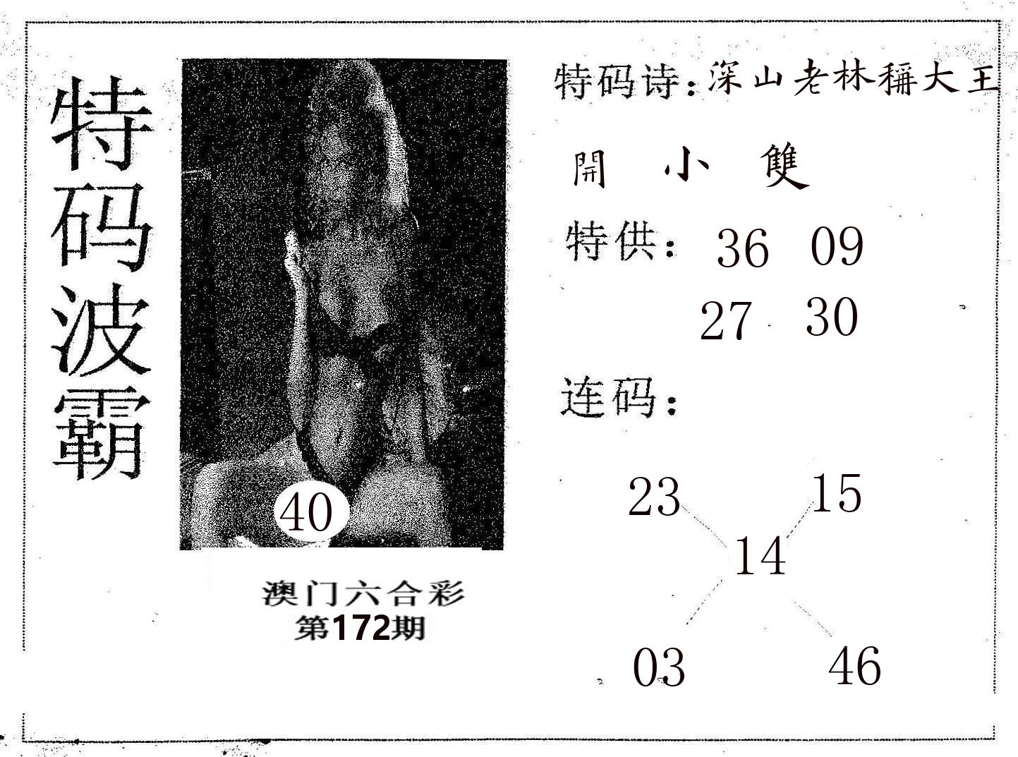 特码波霸 第172期