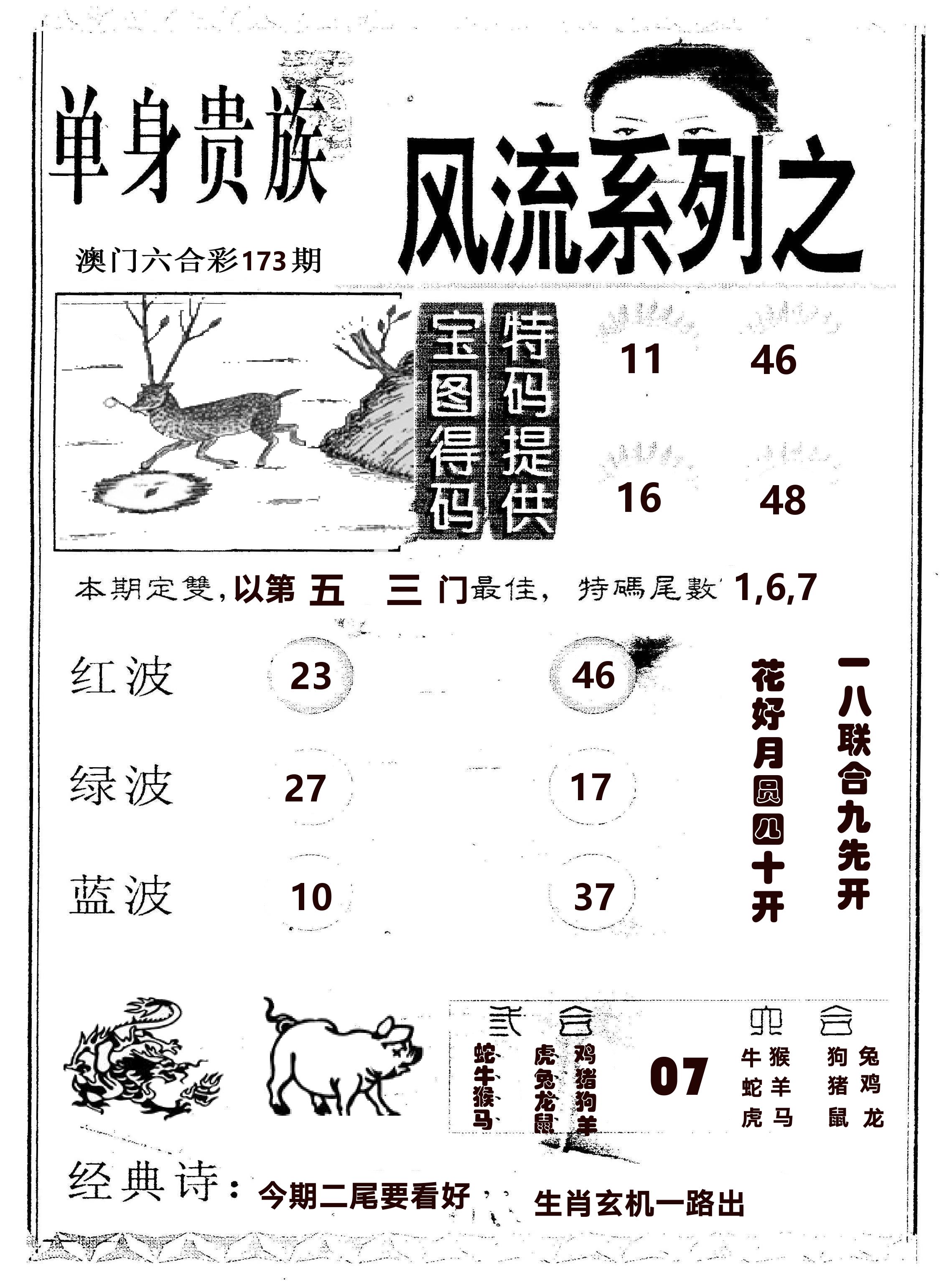 风流系列-2 第173期