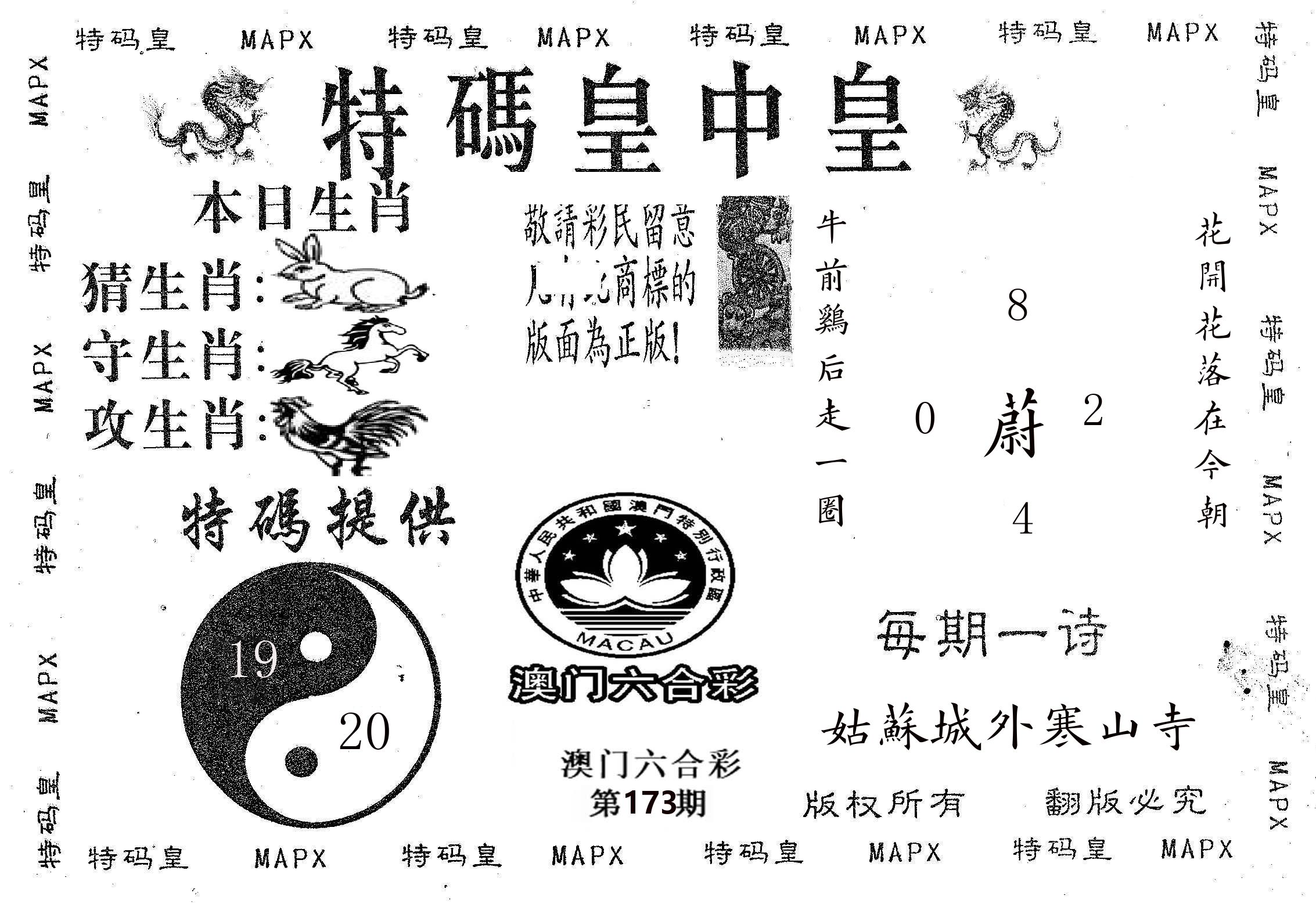 皇中皇B 第173期