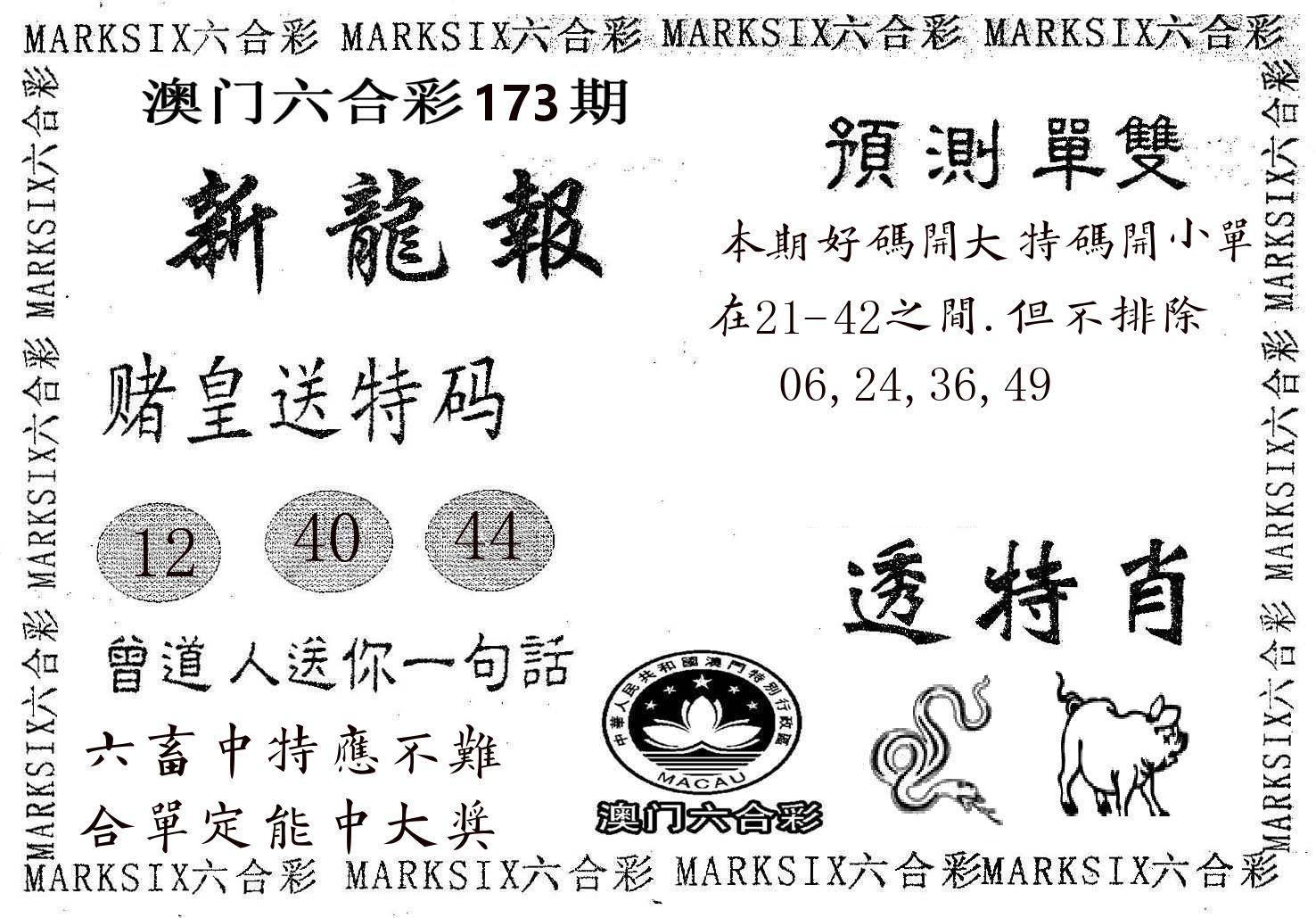 新龙报 第173期