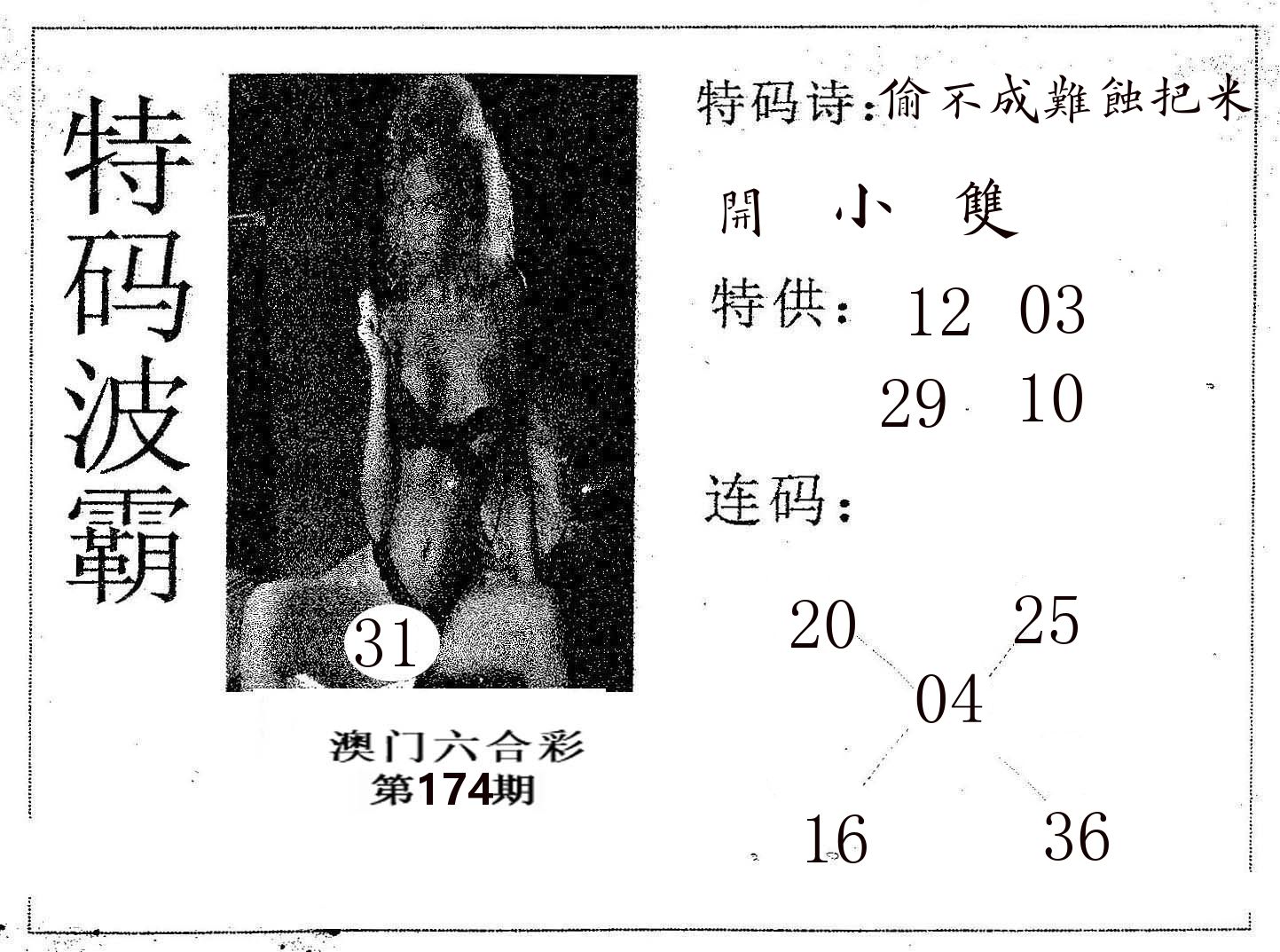 特码波霸 第174期
