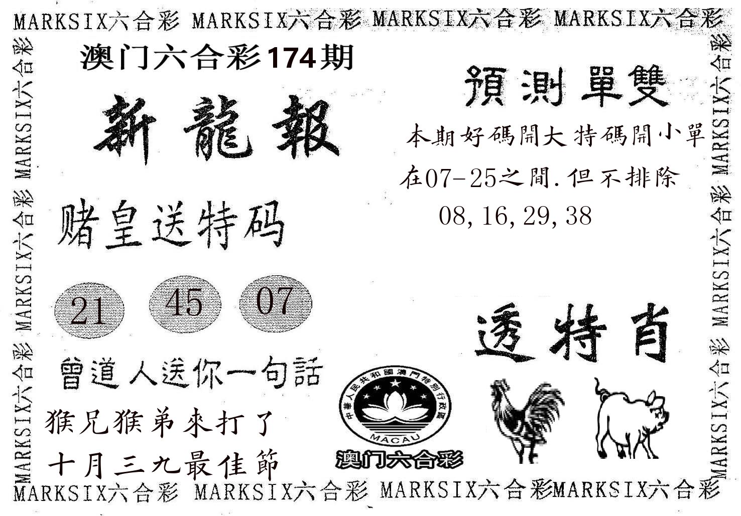 新龙报 第174期