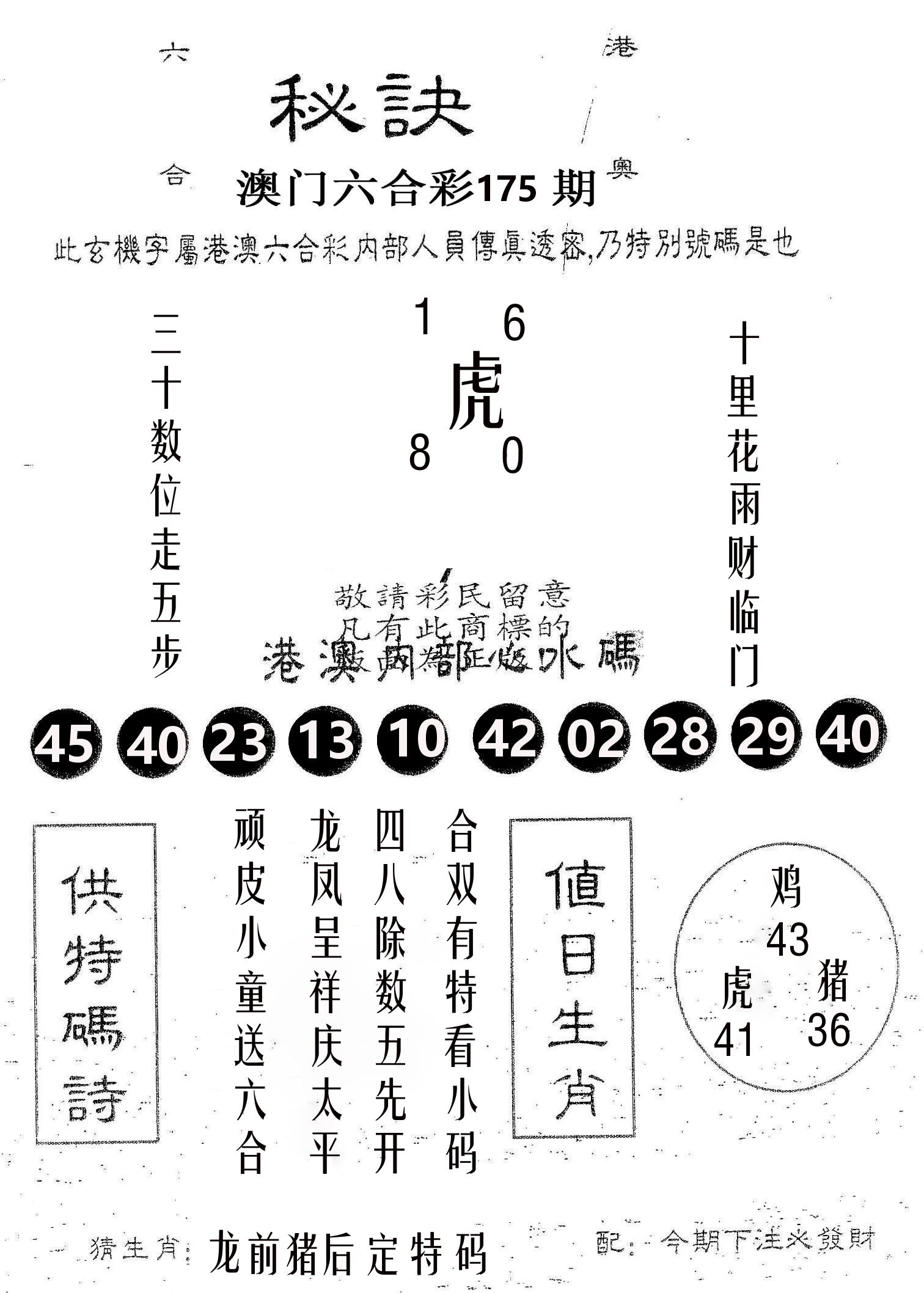秘决 第175期