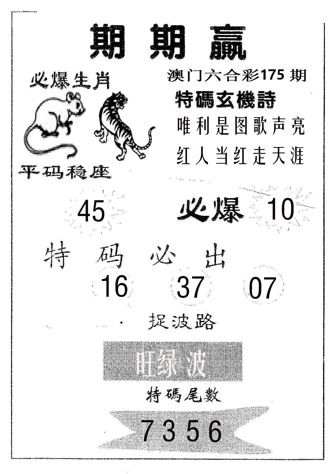 期期赢 第175期