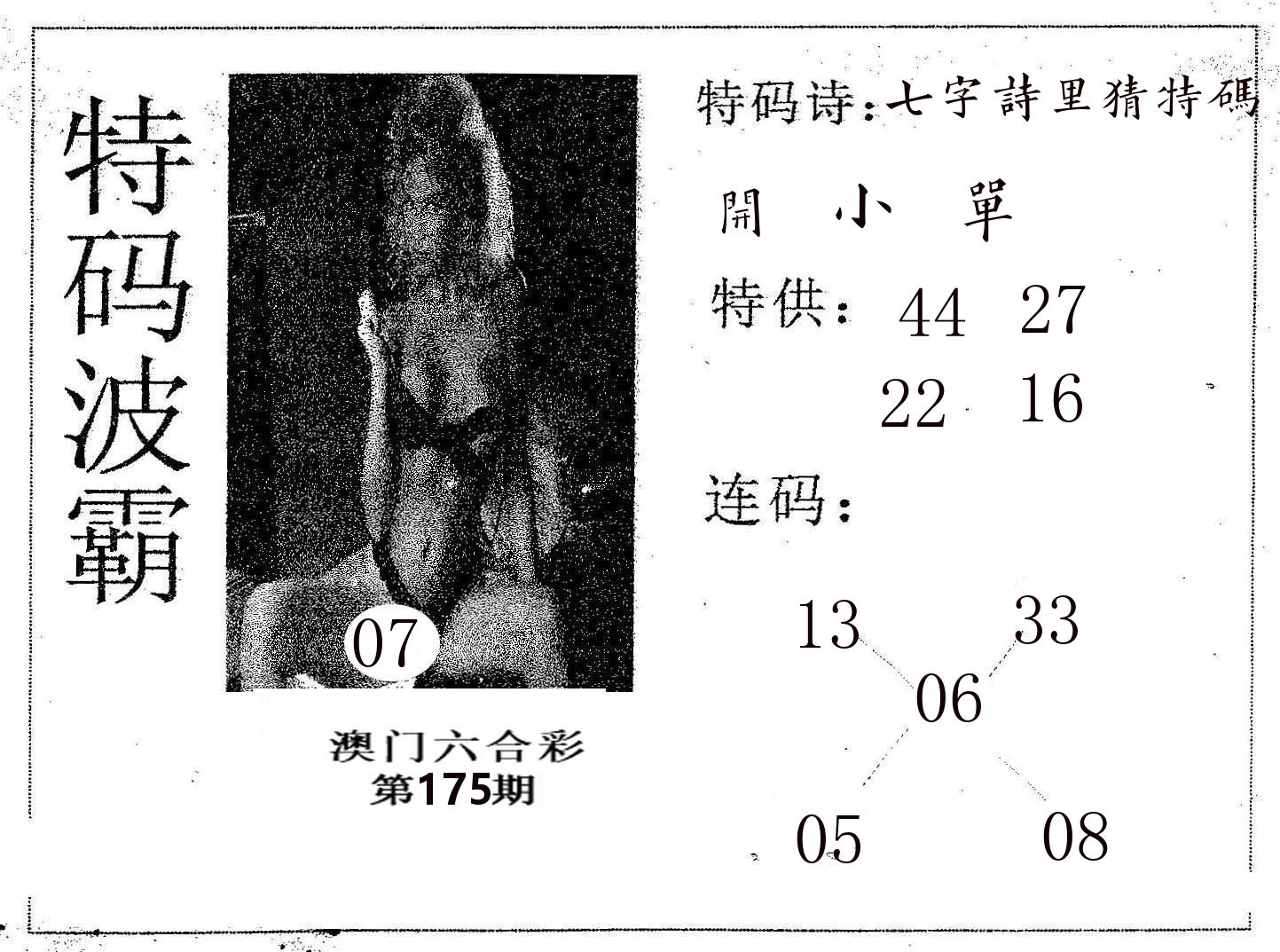 特码波霸 第175期