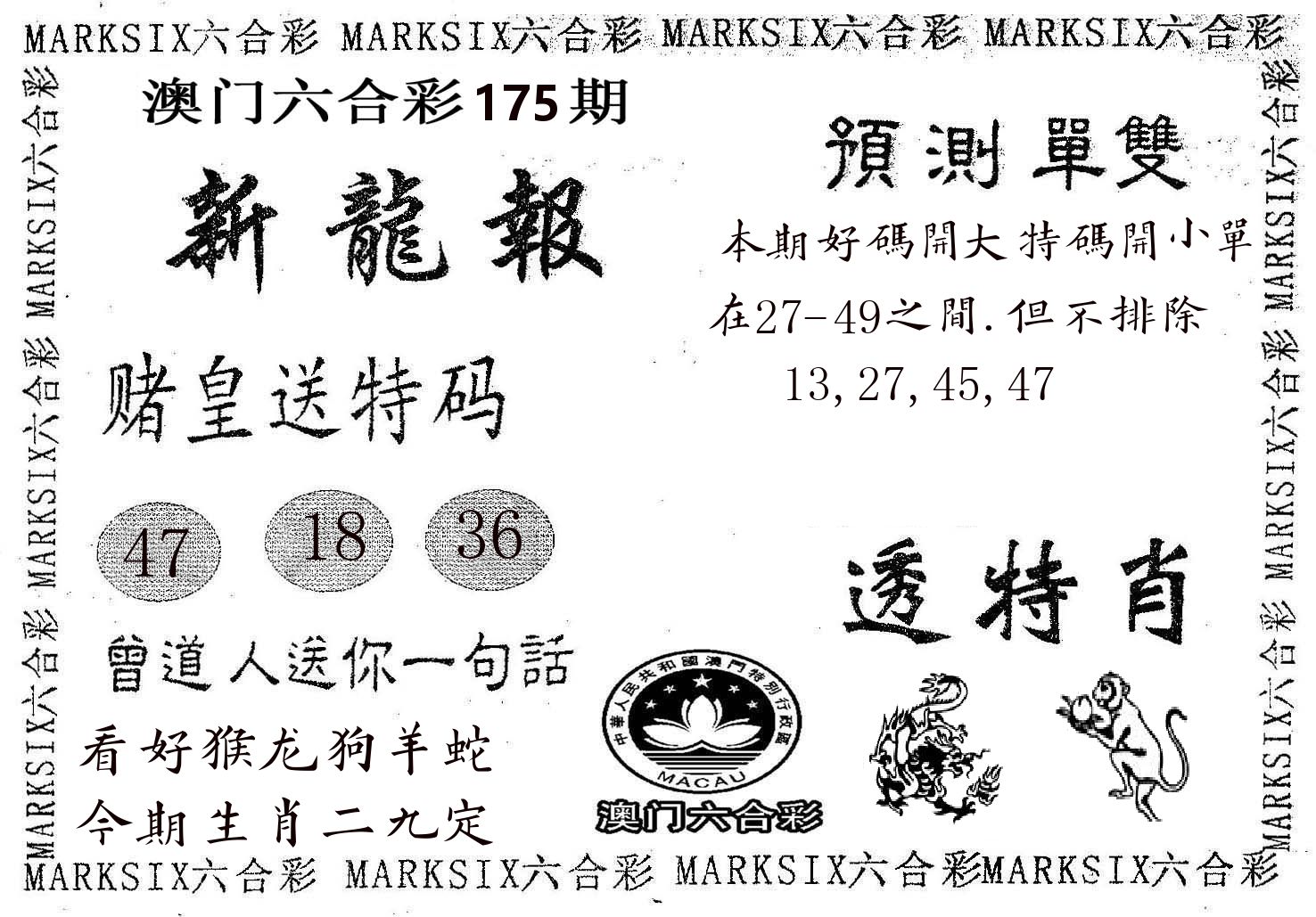 新龙报 第175期