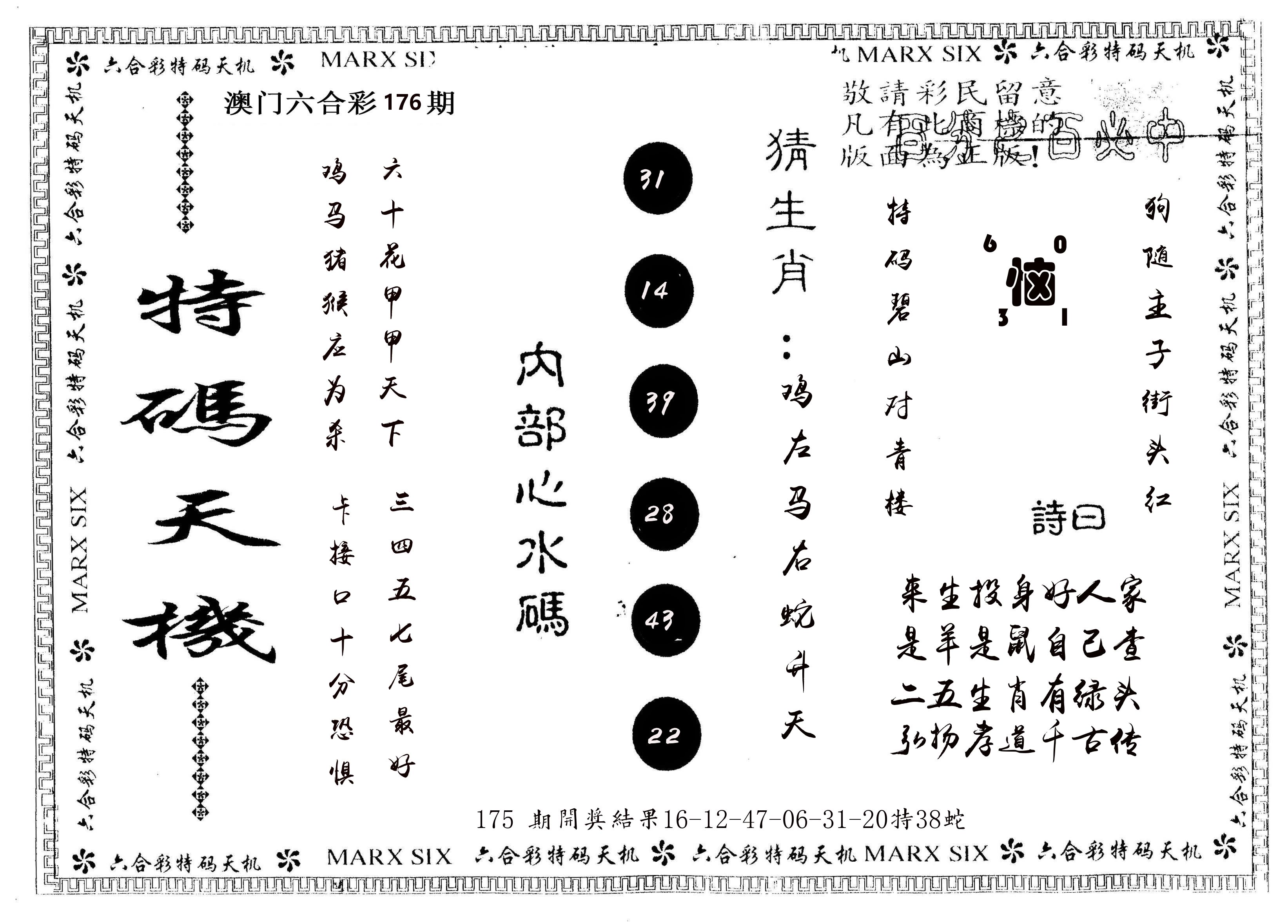 另版特码天机 第176期