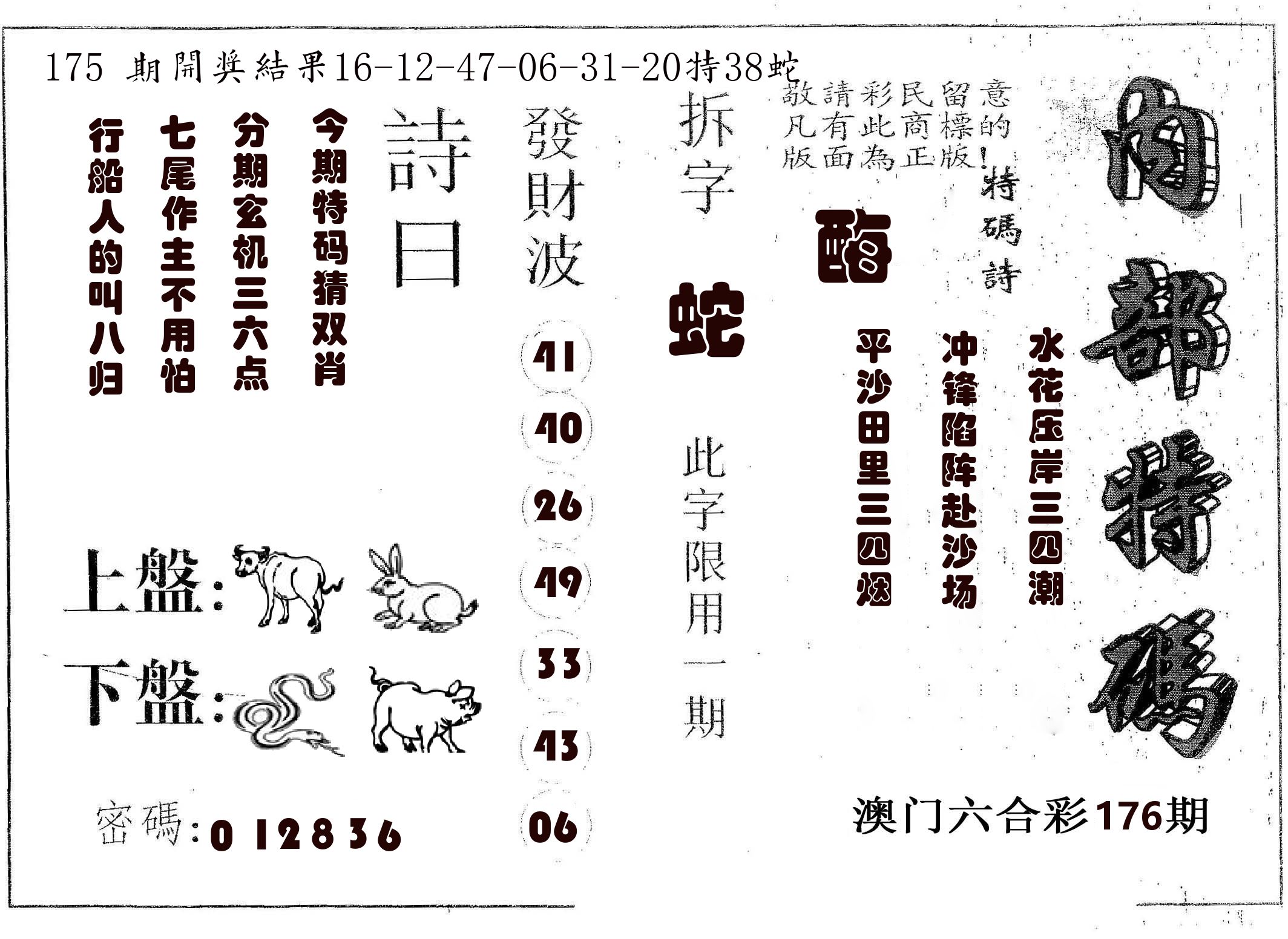 内部特码 第176期