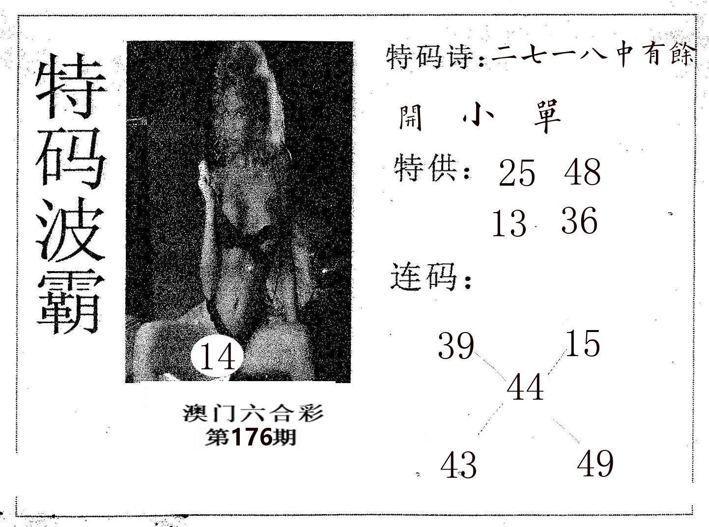 特码波霸 第176期