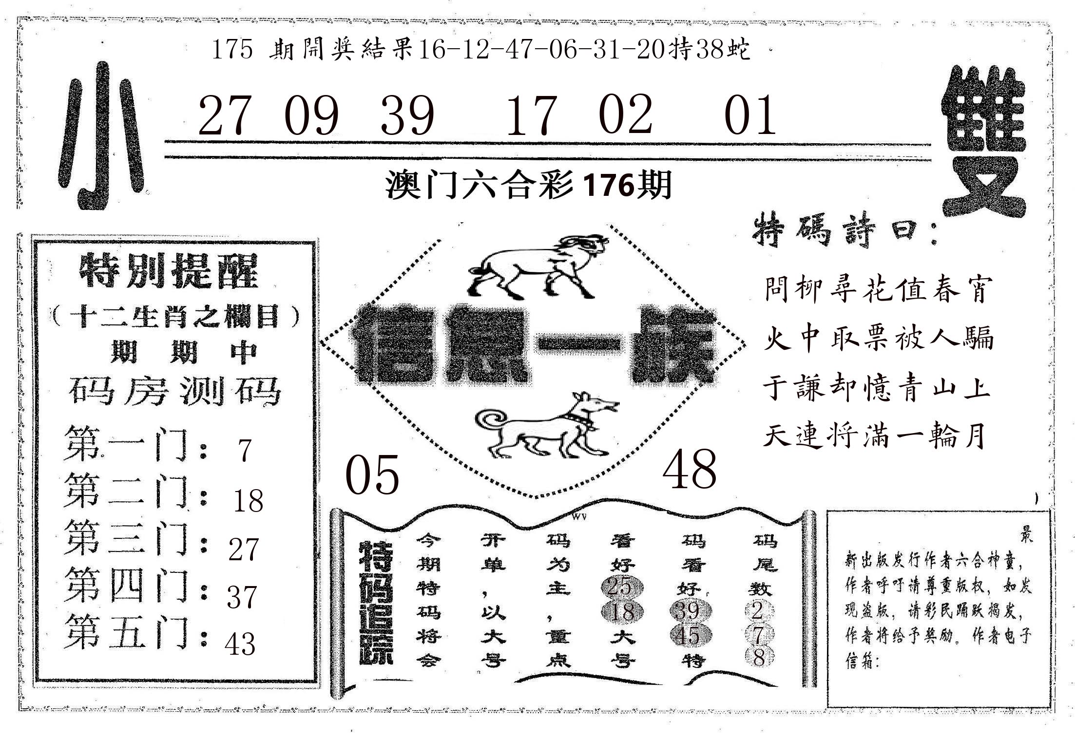 信息一族 第176期