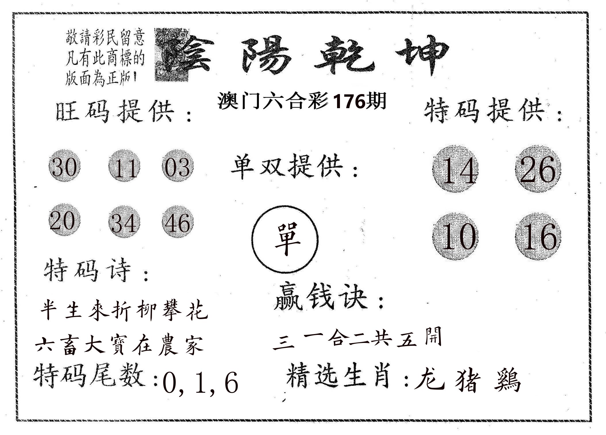 阴阳乾坤 第176期
