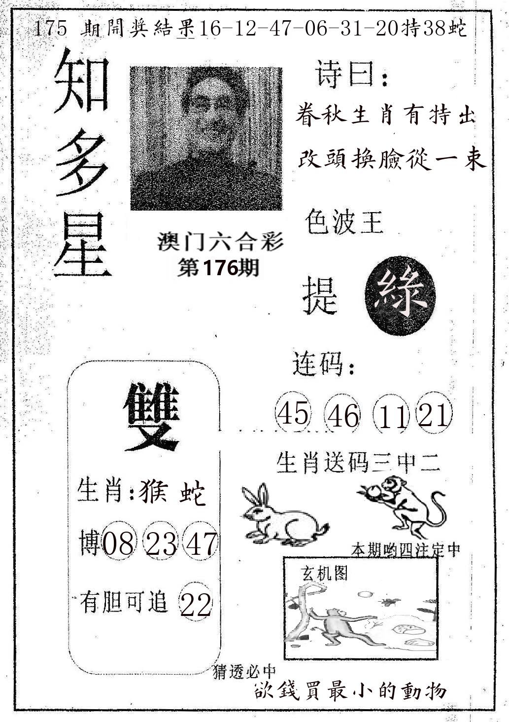 知多星 第176期