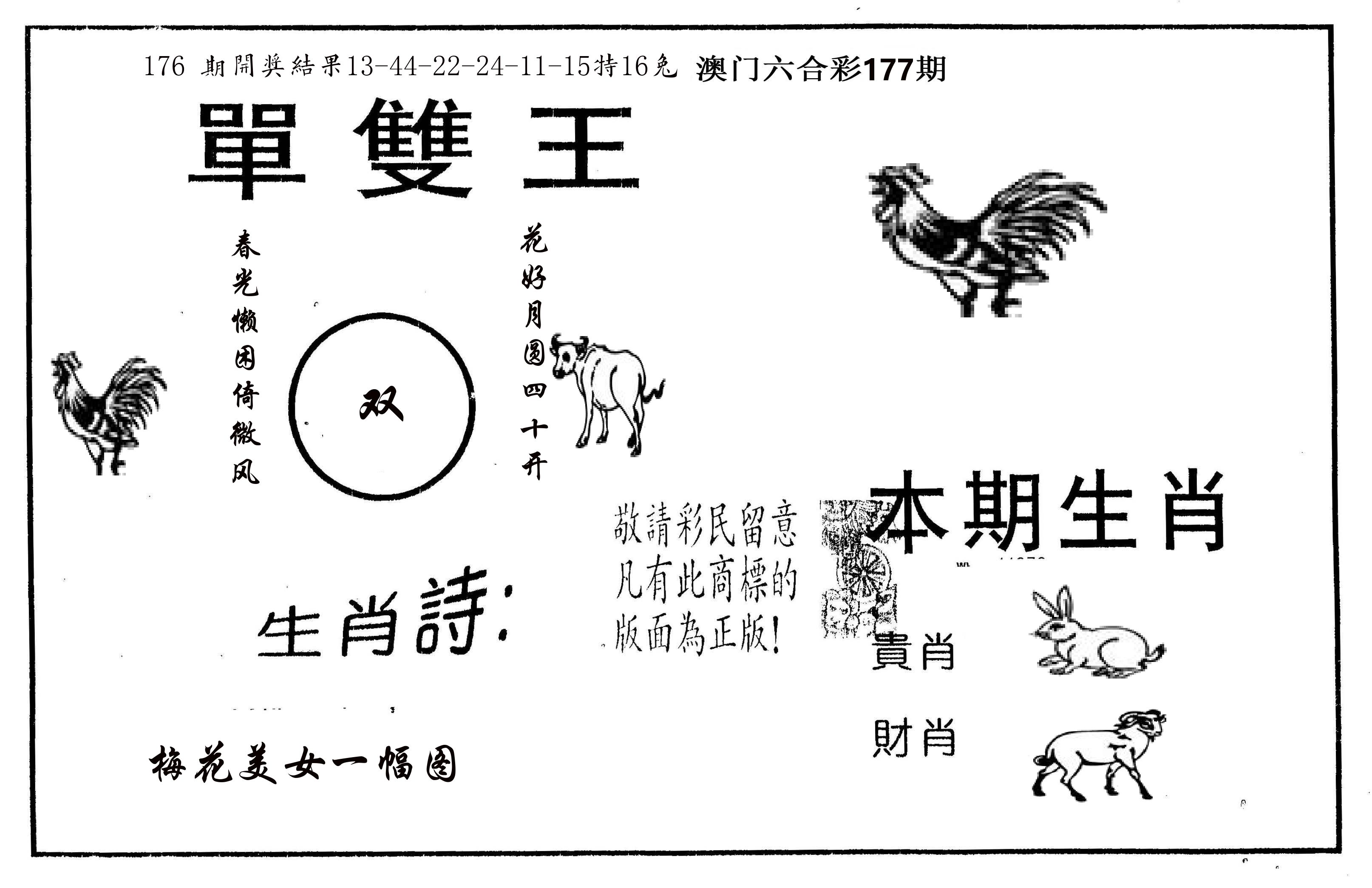 单双王A 第177期