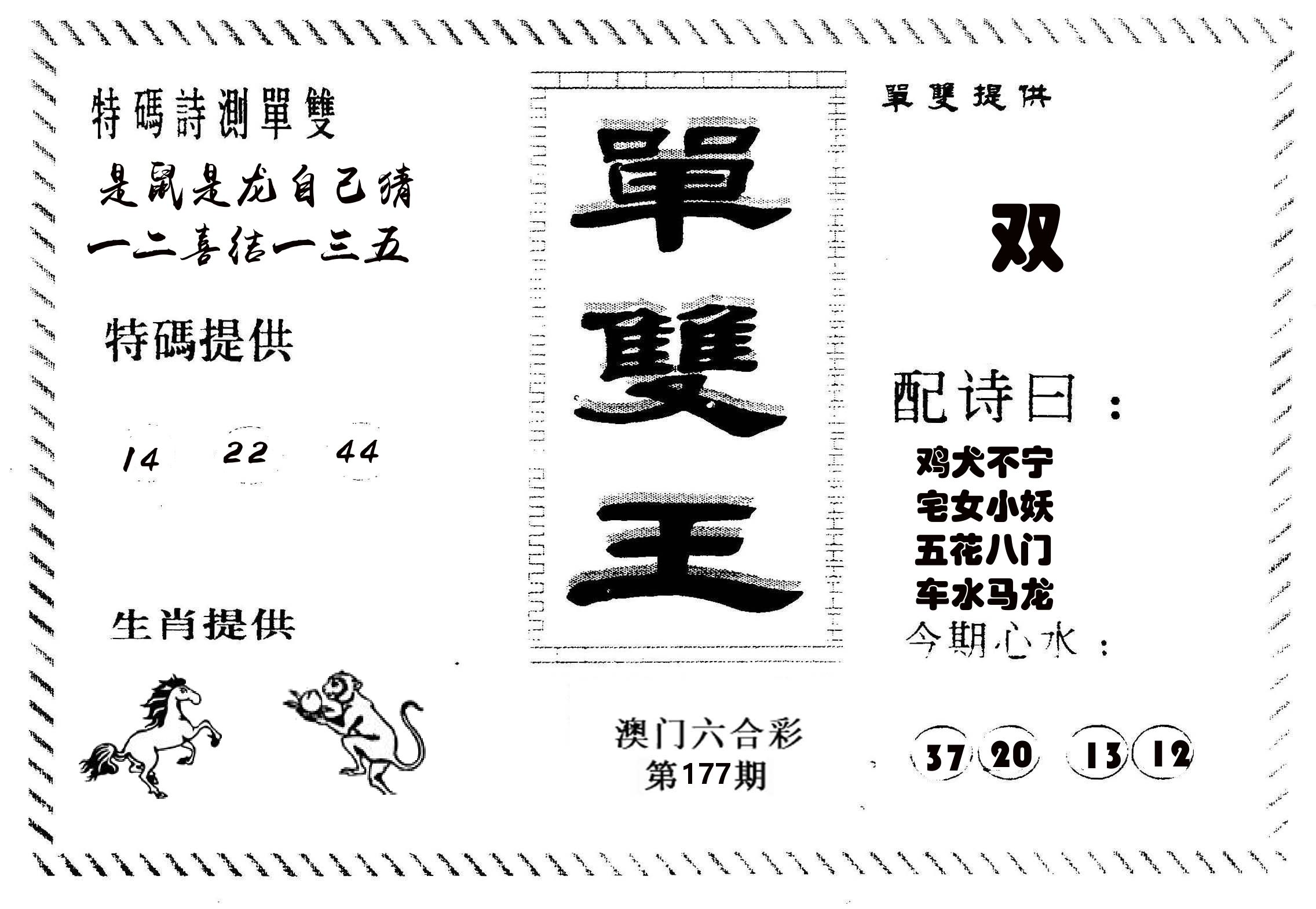 单双王B 第177期