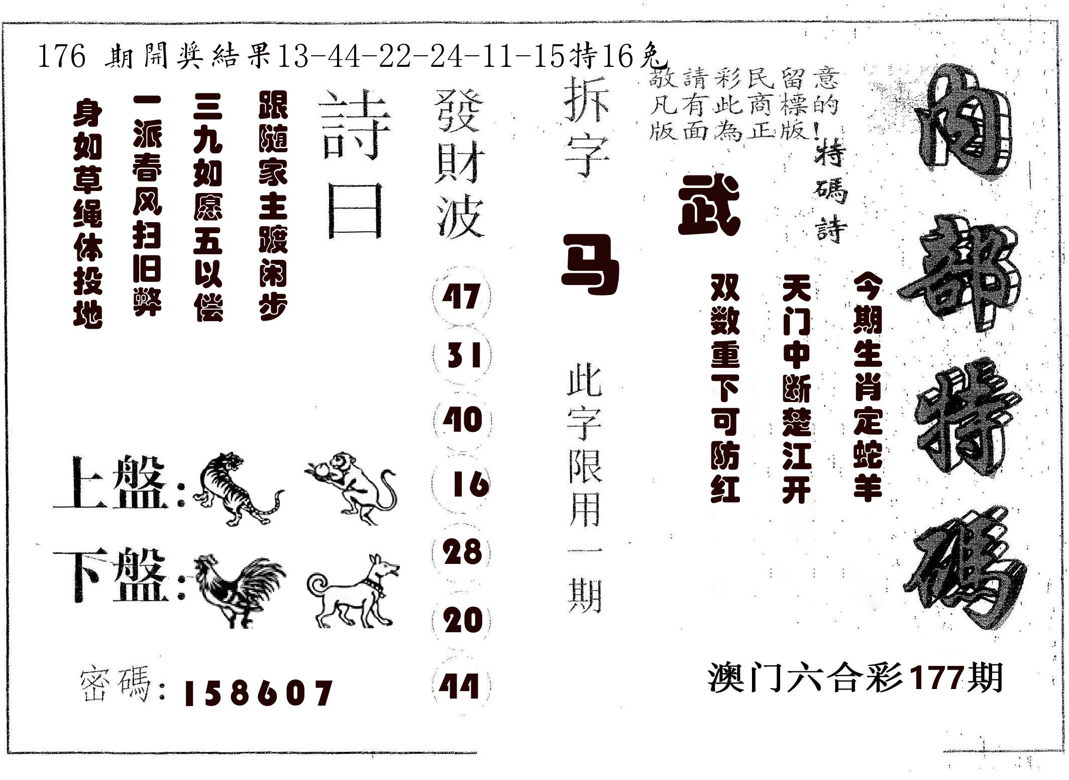 内部特码 第177期