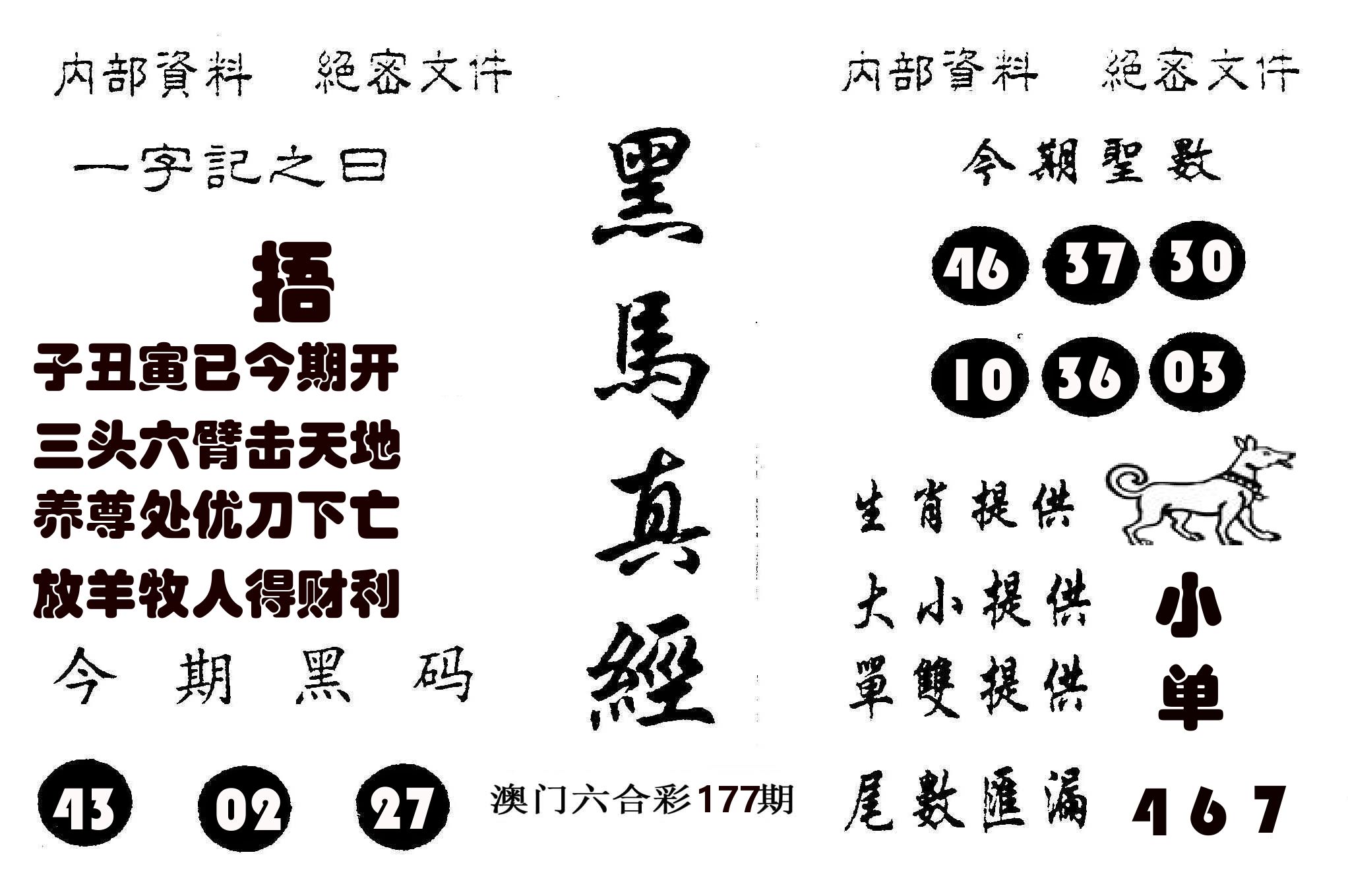 黑马真经 第177期