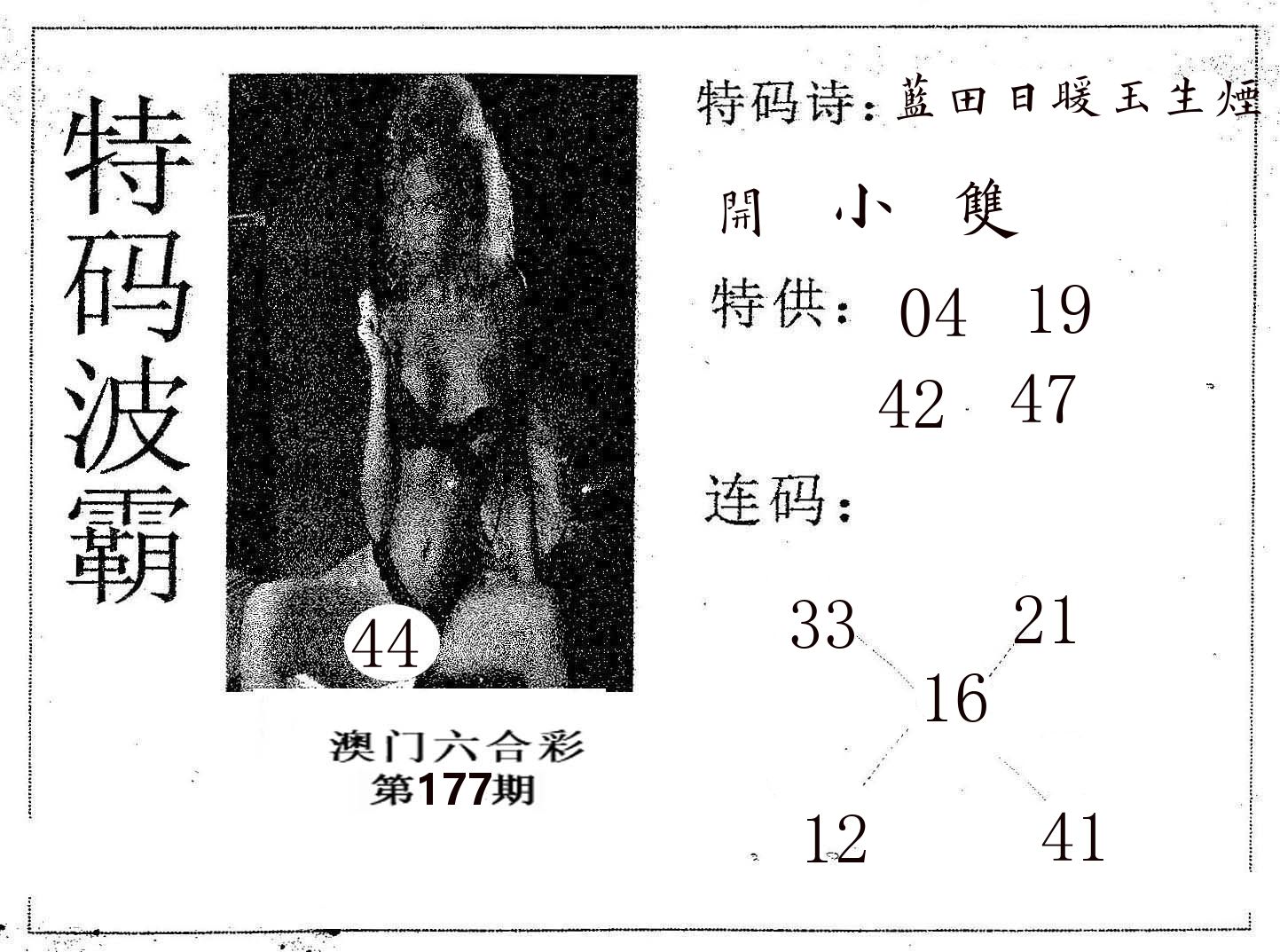 特码波霸 第177期