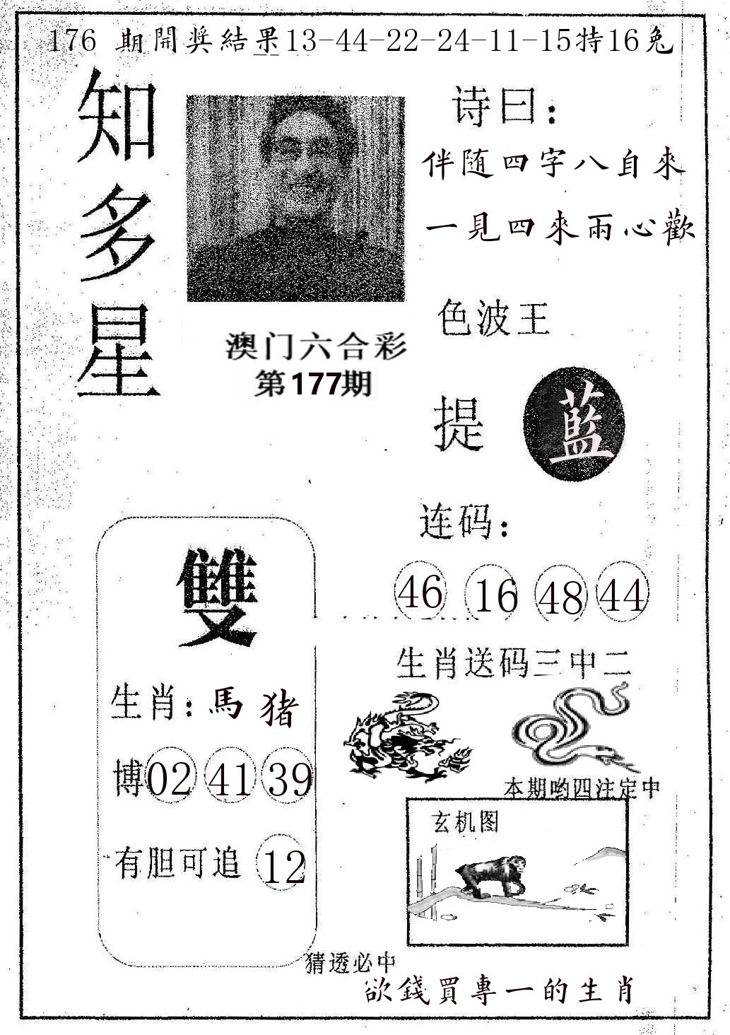 知多星 第177期