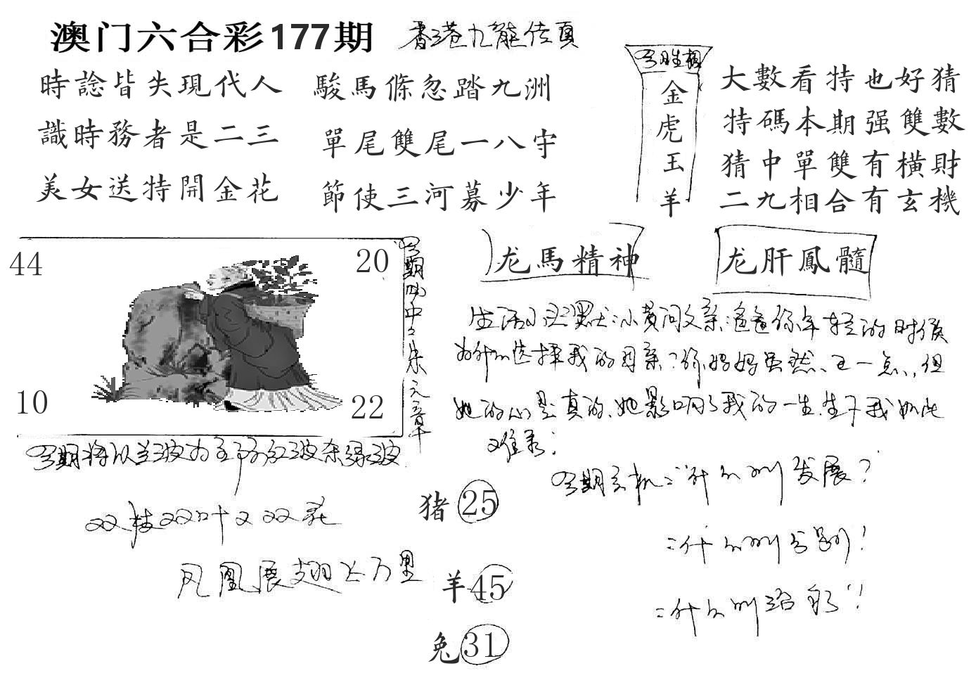 澳门手写九龙 第177期