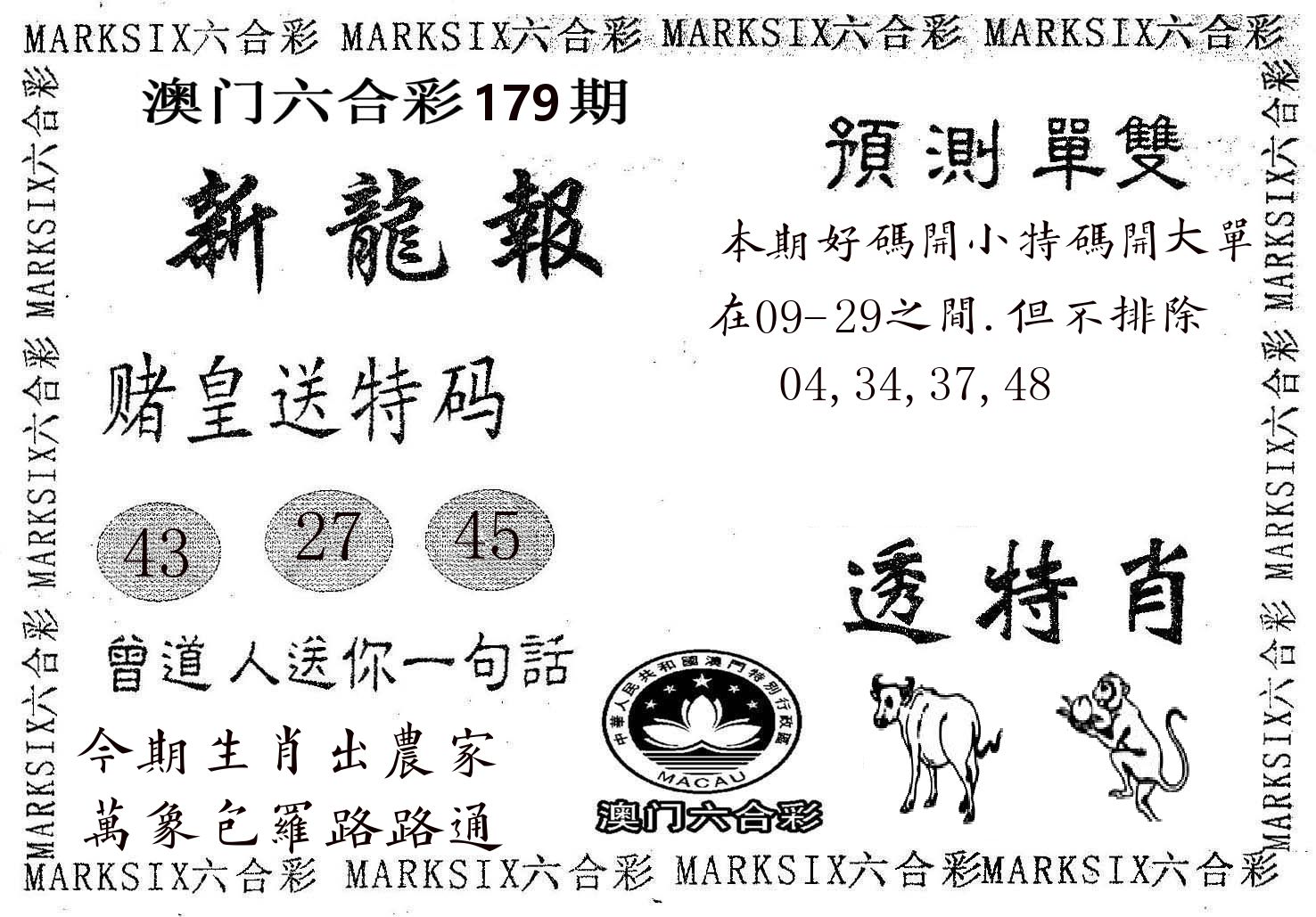 新龙报 第179期