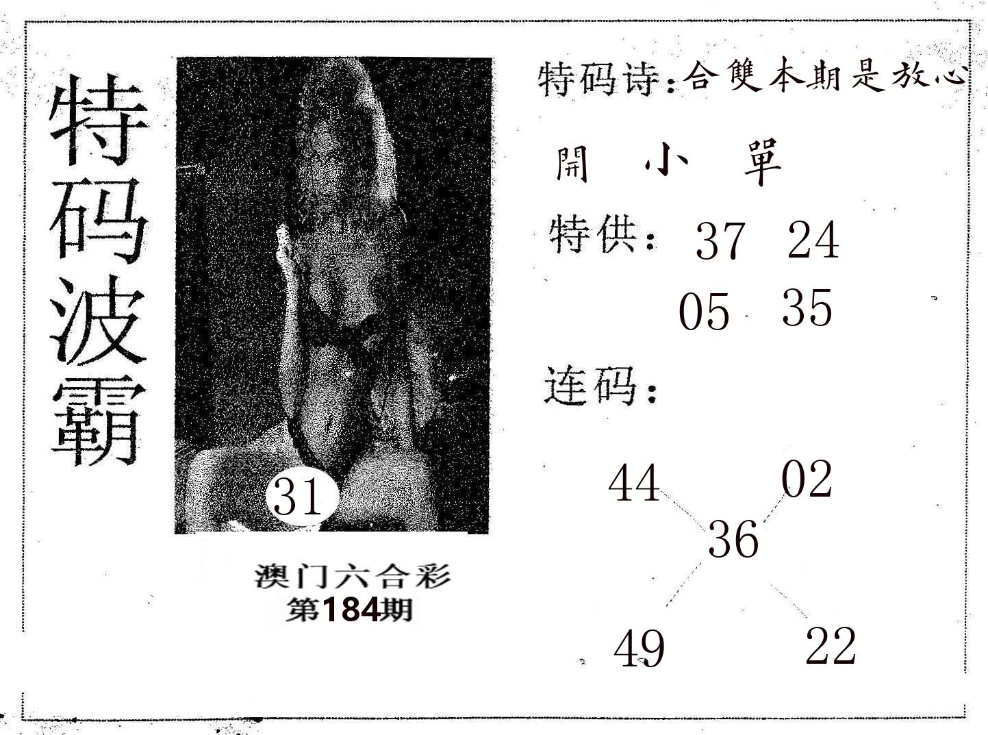 特码波霸 第184期