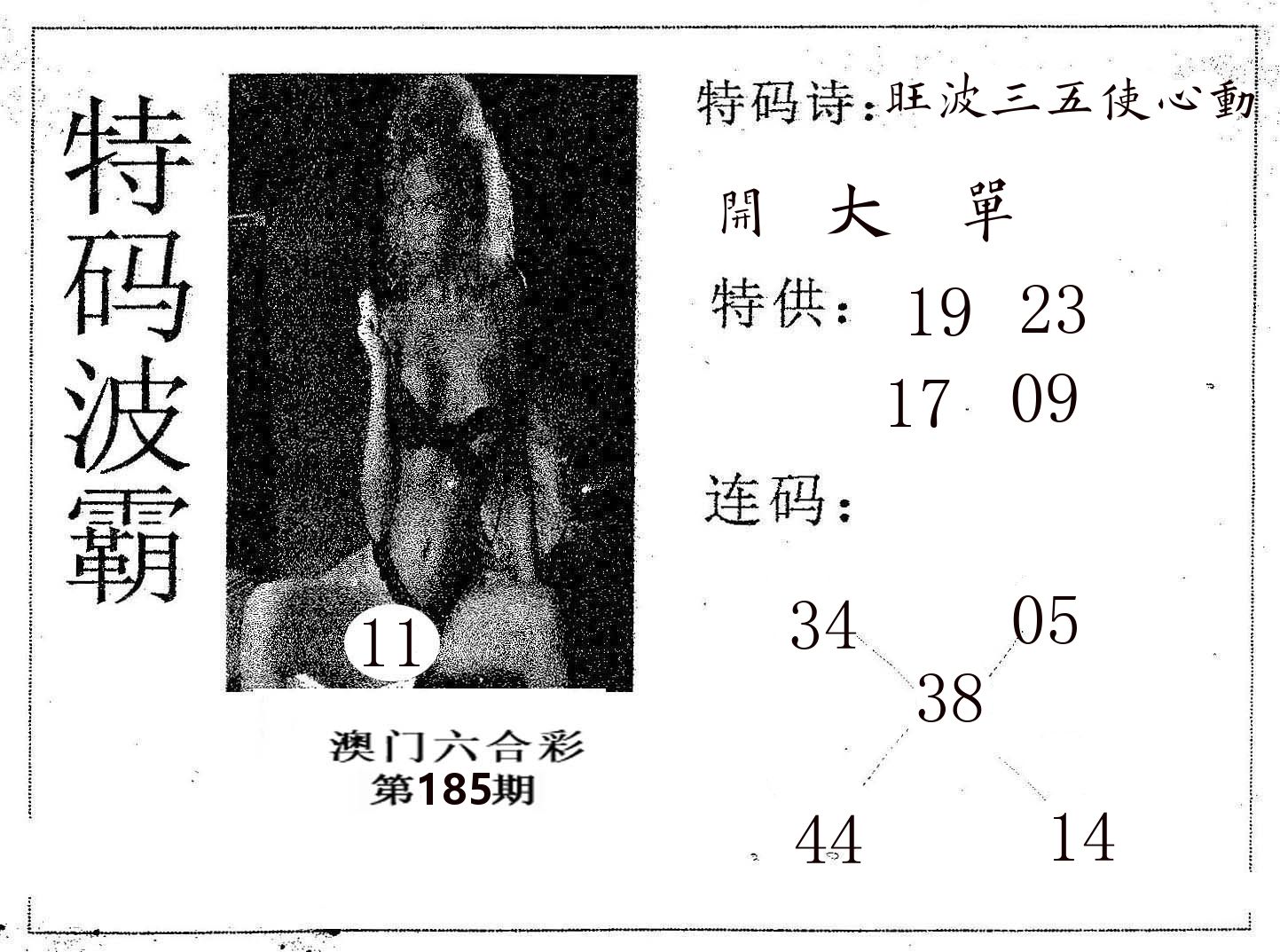 特码波霸 第185期