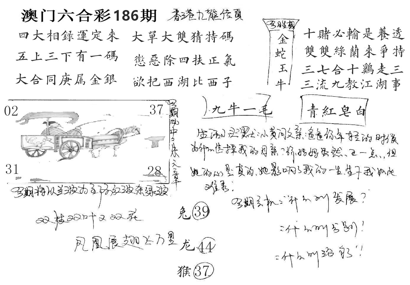 澳门手写九龙 第186期