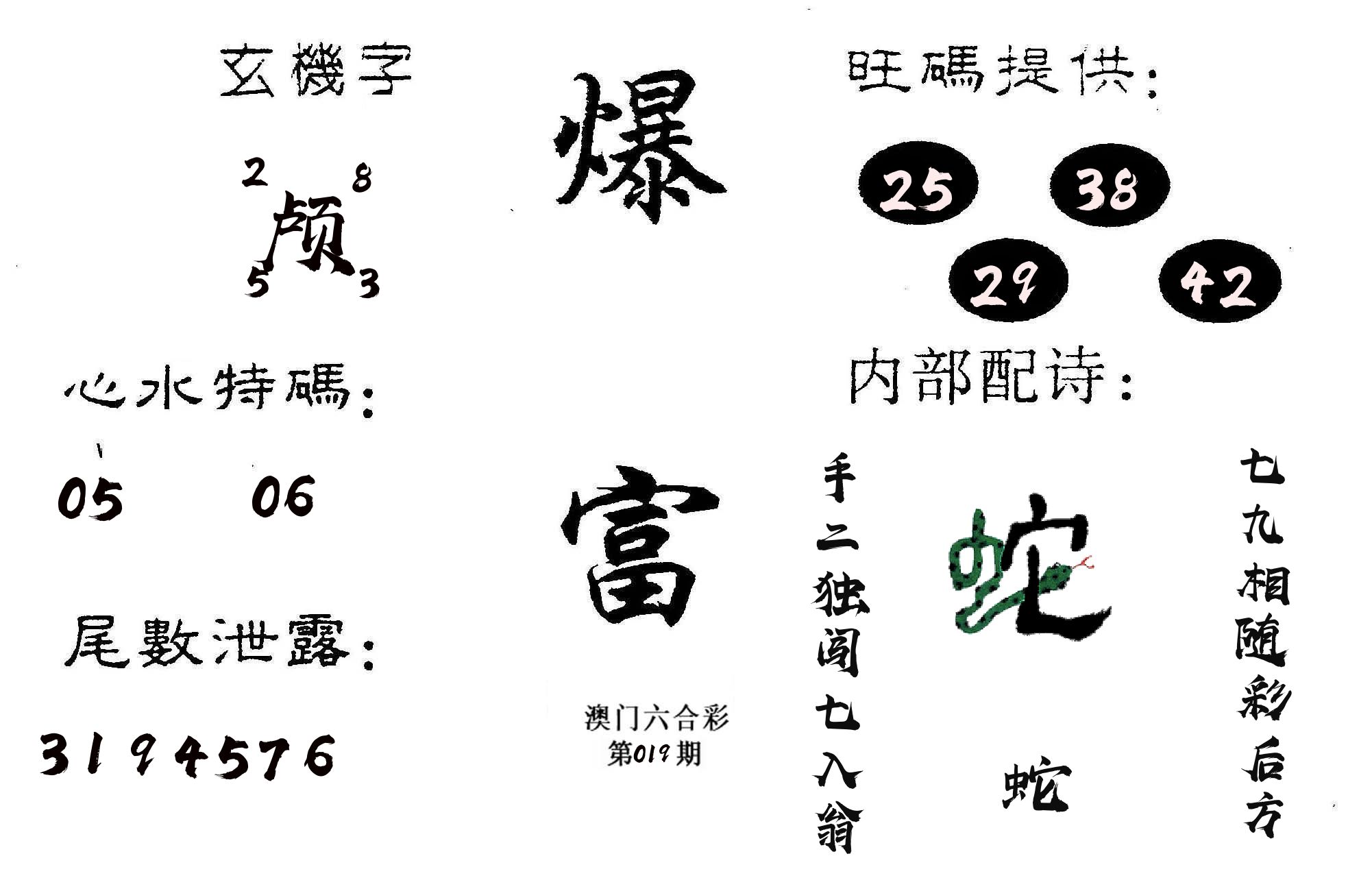 爆富 第19期