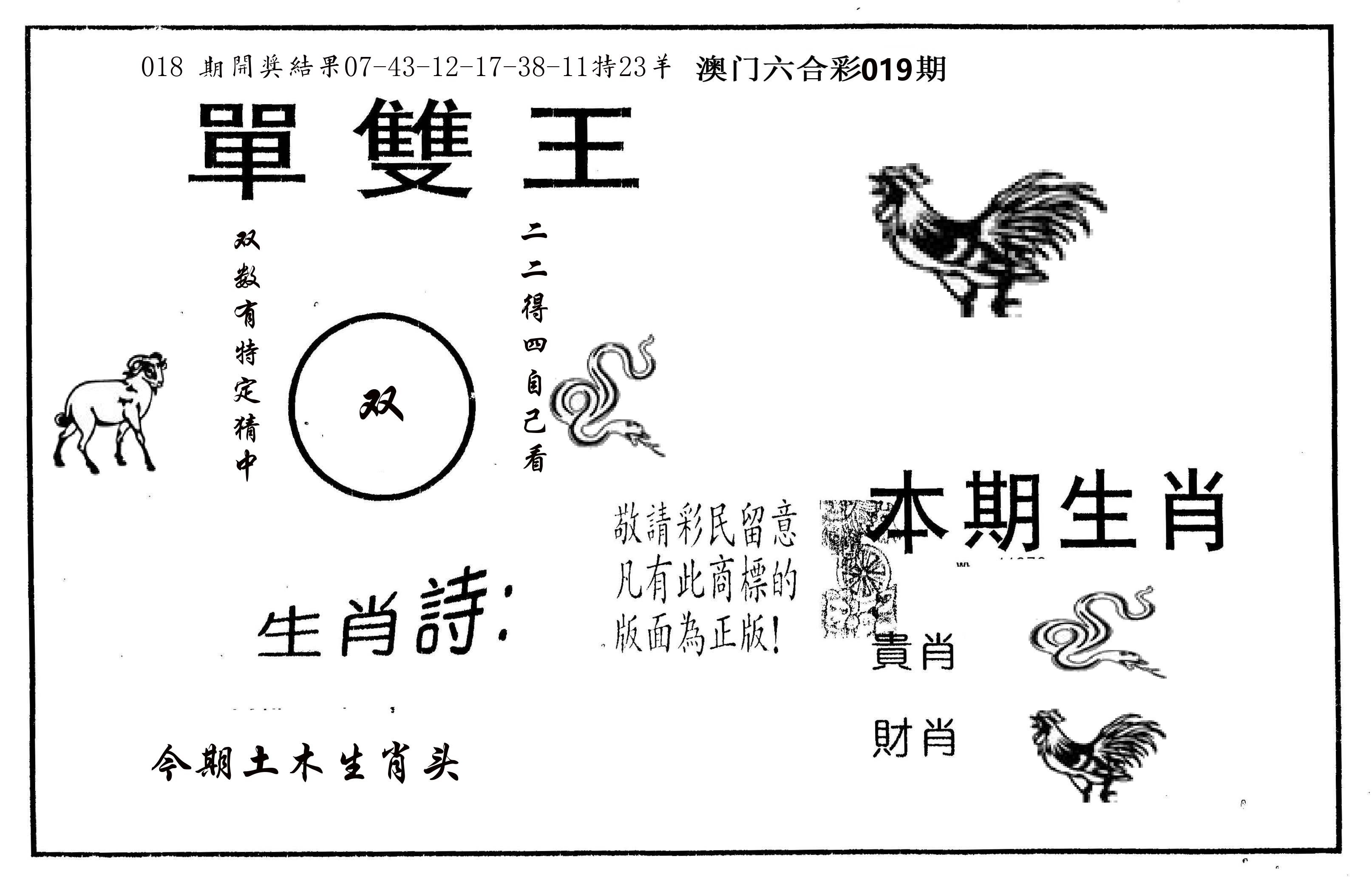 单双王A 第19期