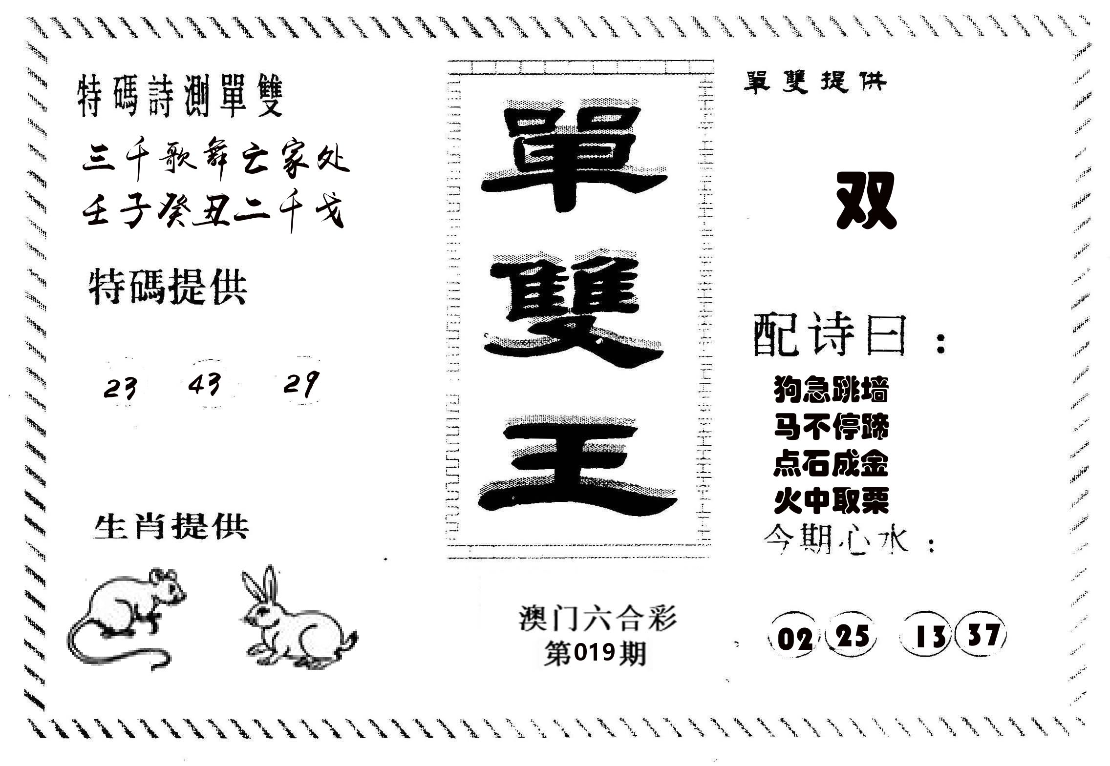 单双王B 第19期