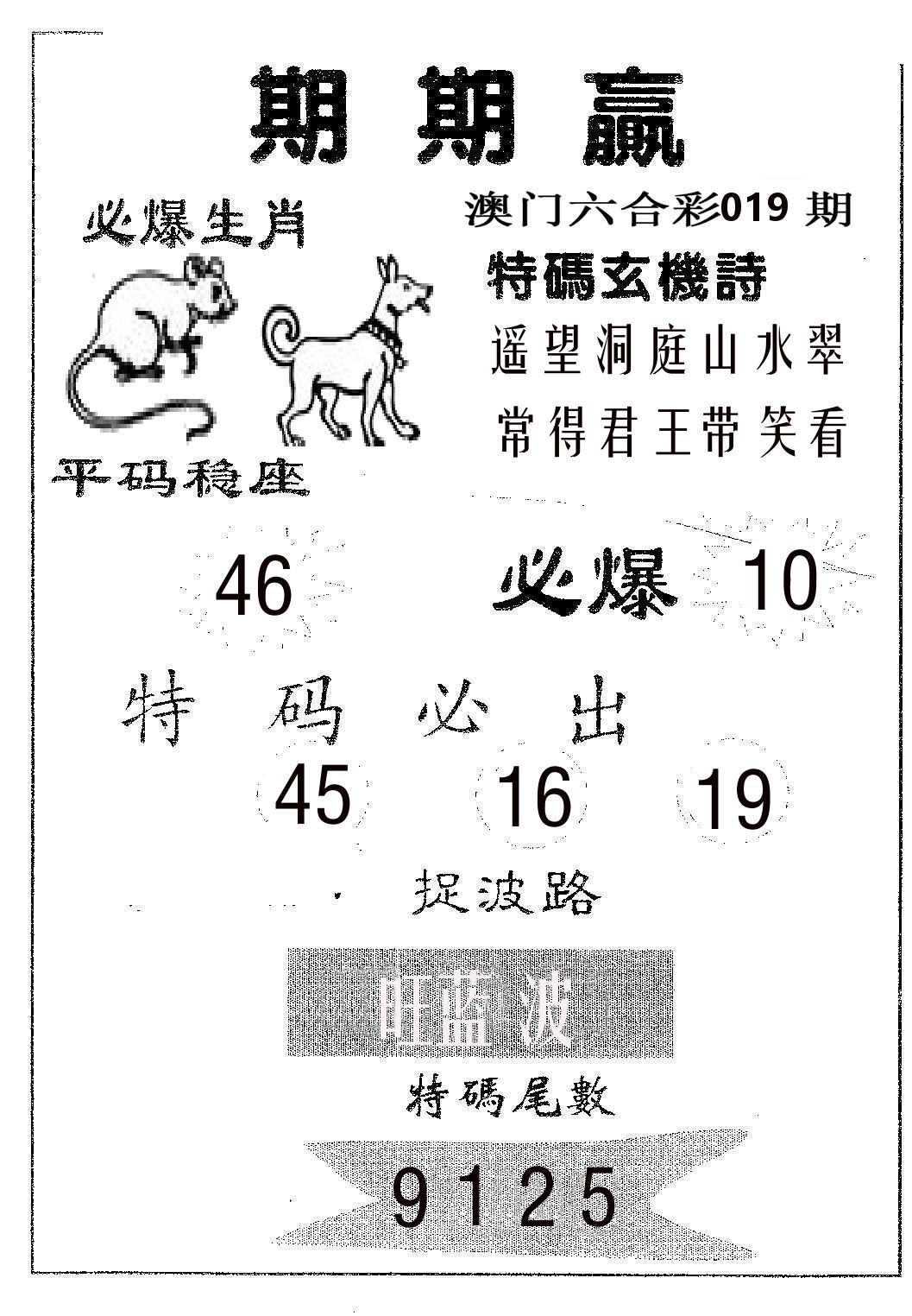 期期赢 第19期